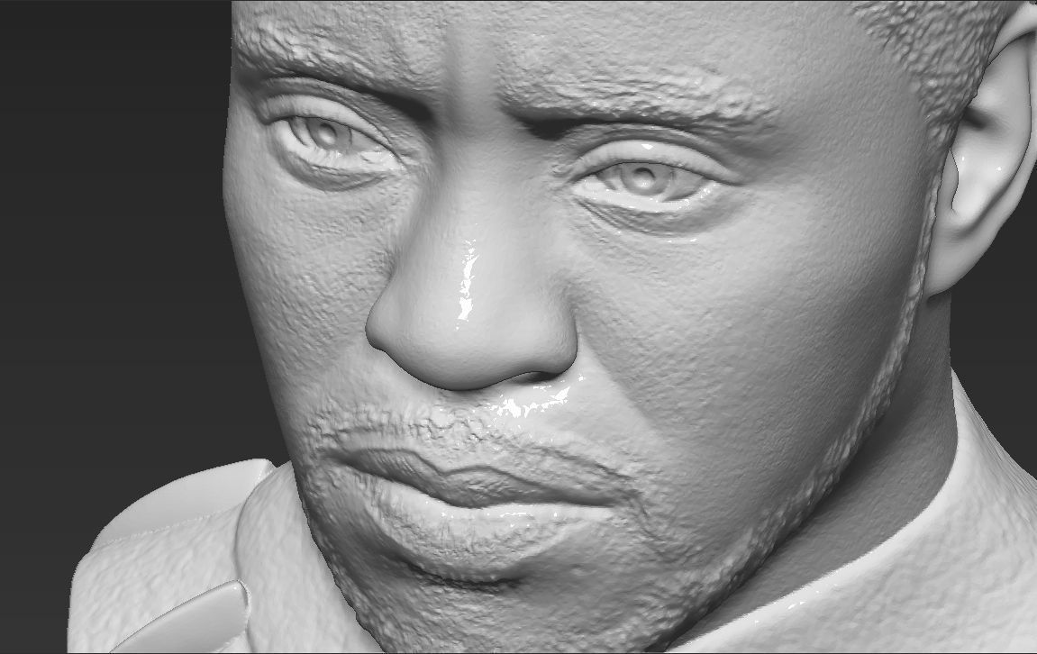 Chad Boseman Black Panther bust 3D printing ready stl obj 3D print model_24