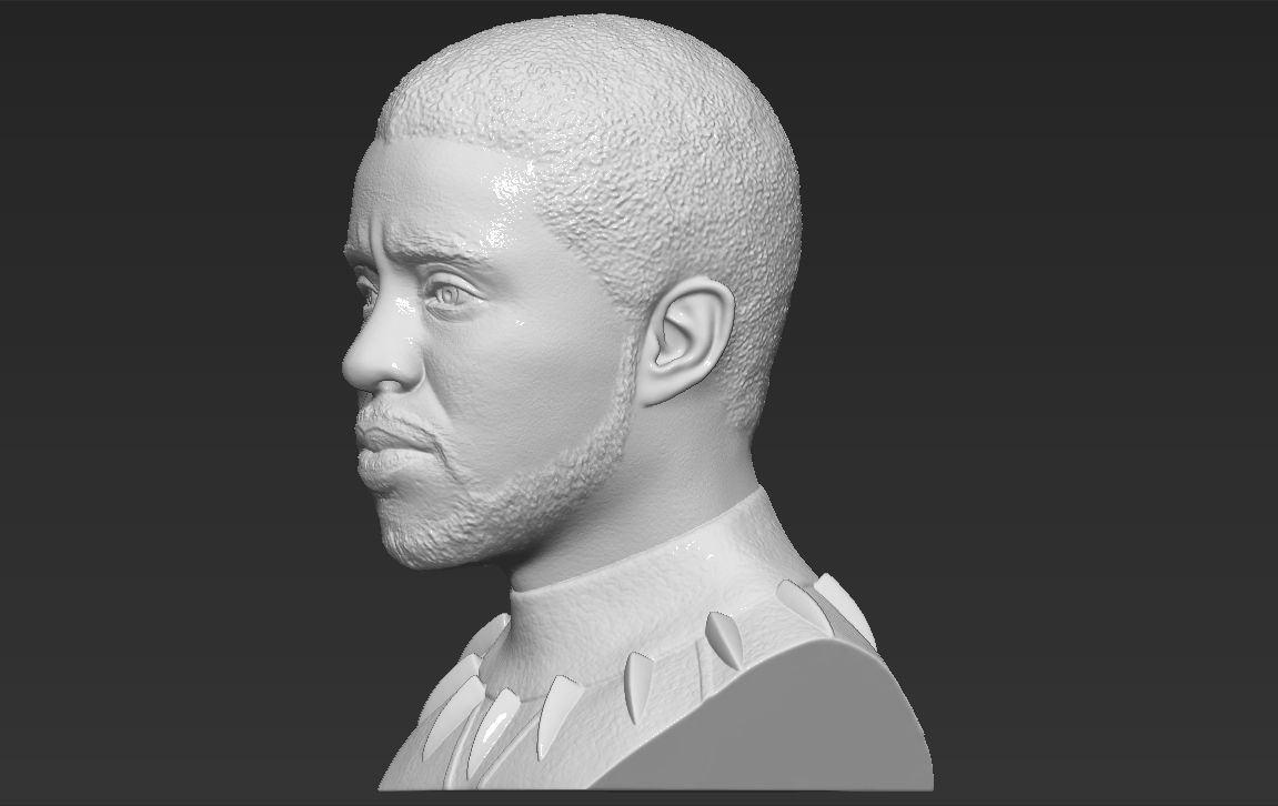 Chad Boseman Black Panther bust 3D printing ready stl obj 3D print model_8