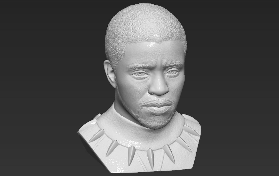 Chad Boseman Black Panther bust 3D printing ready stl obj 3D print model_18