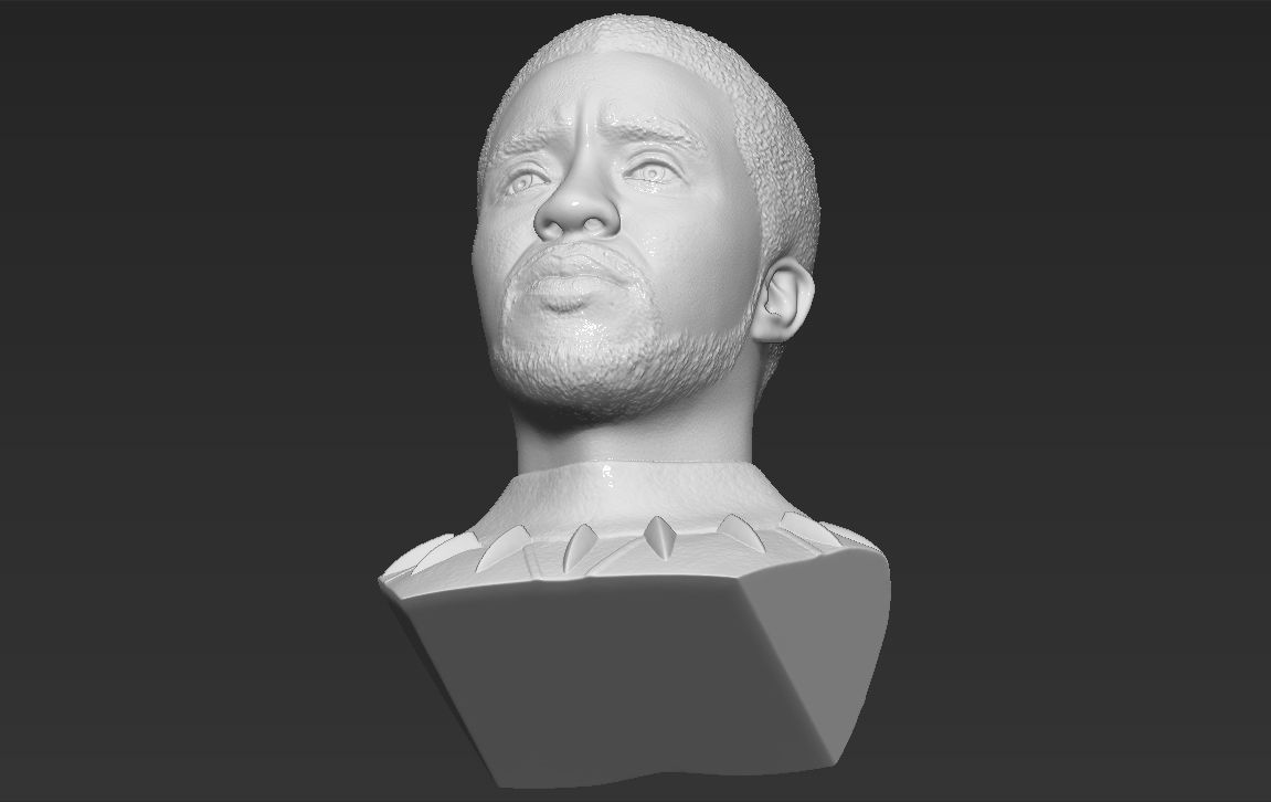 Chad Boseman Black Panther bust 3D printing ready stl obj 3D print model_27