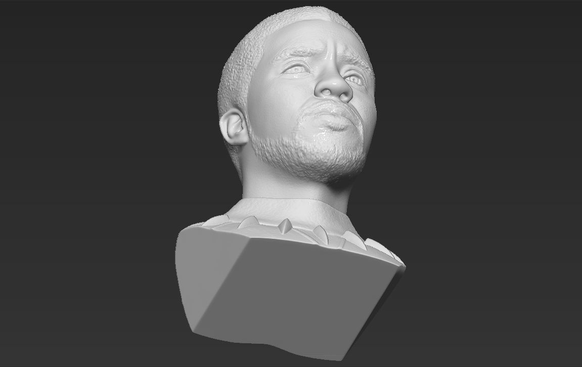 Chad Boseman Black Panther bust 3D printing ready stl obj 3D print model_28