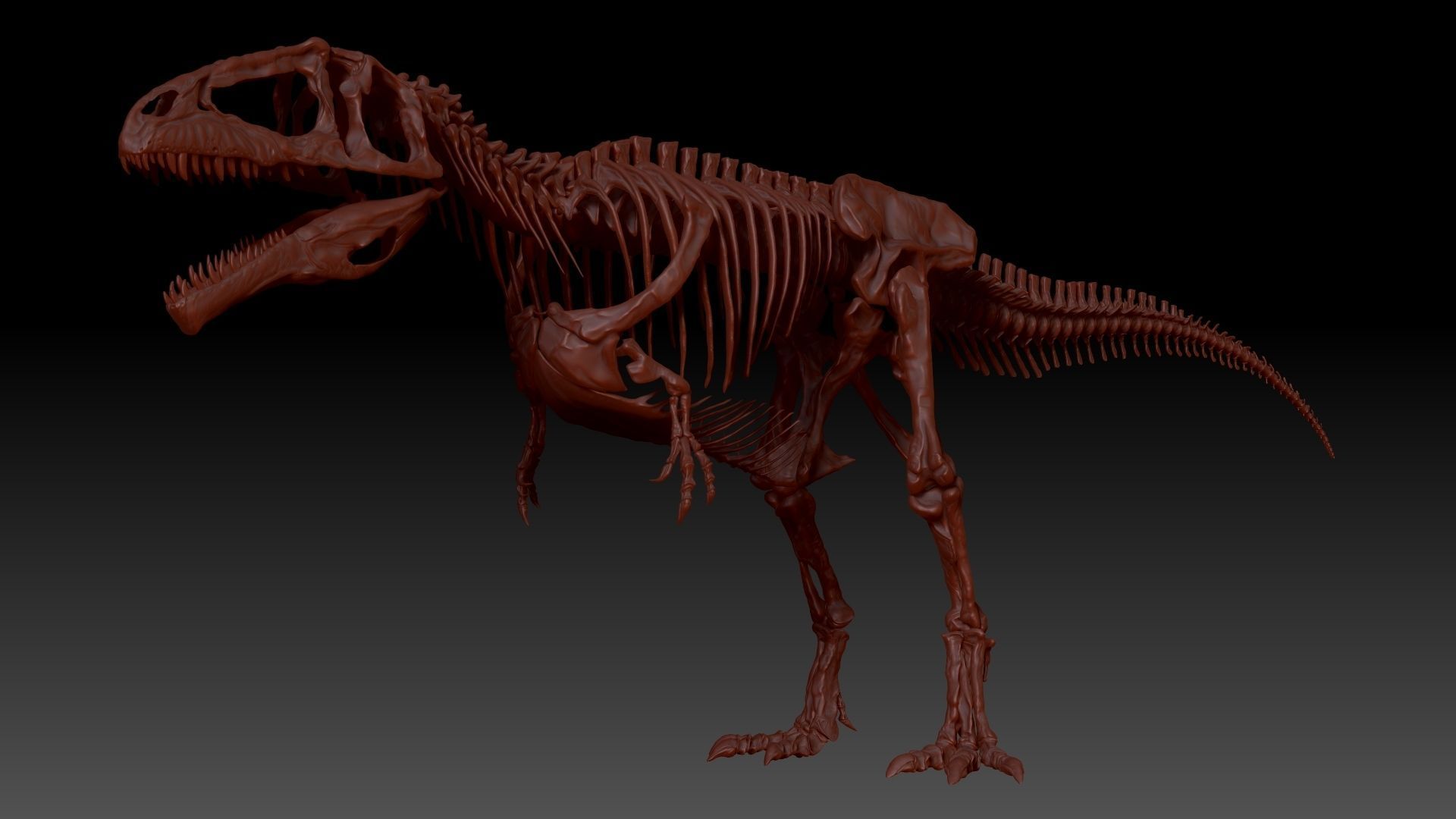 Dinosaur Giganotosaururs Full Skeletons Sculpt Project 3D model_8