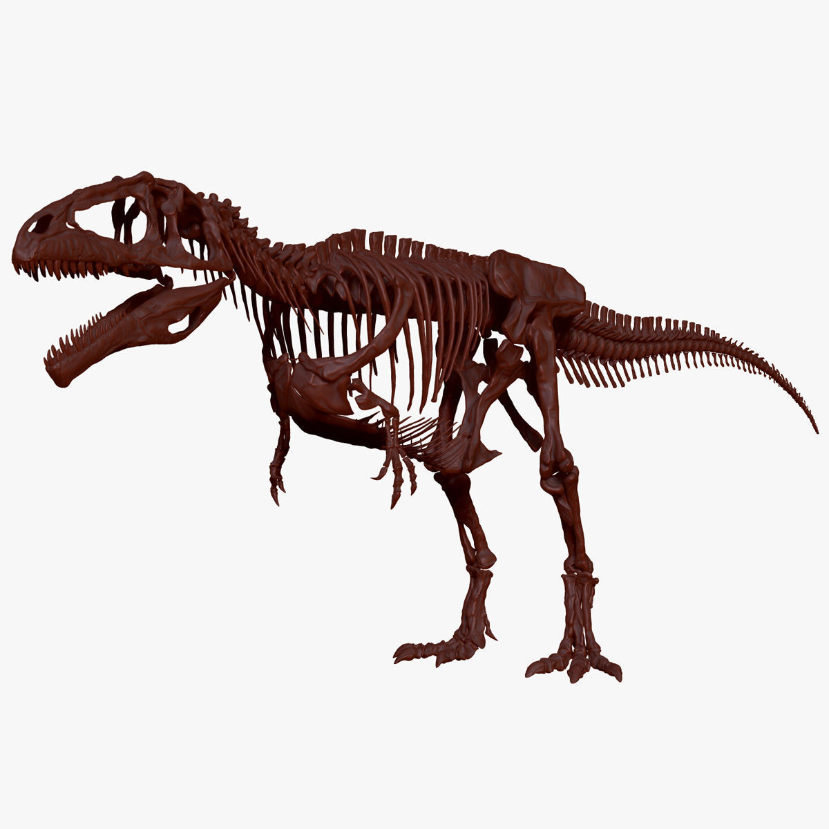 Dinosaur Giganotosaururs Full Skeletons Sculpt Project 3D model_3