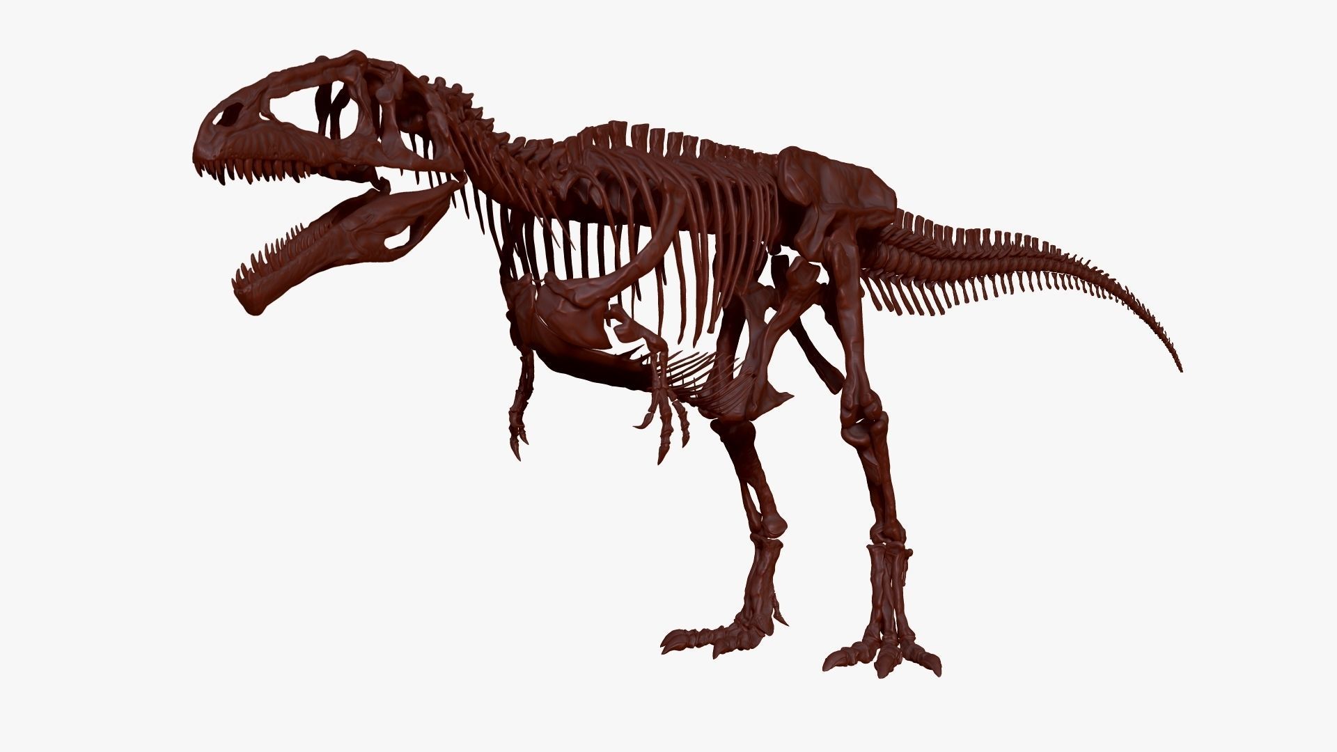 Dinosaur Giganotosaururs Full Skeletons Sculpt Project 3D model_5