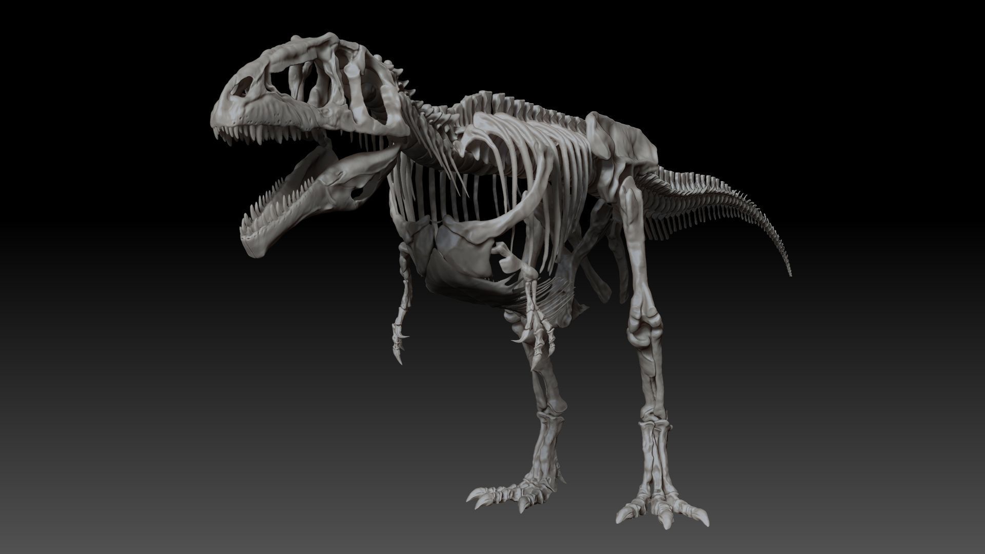 Dinosaur Giganotosaururs Full Skeletons Sculpt Project 3D model_9