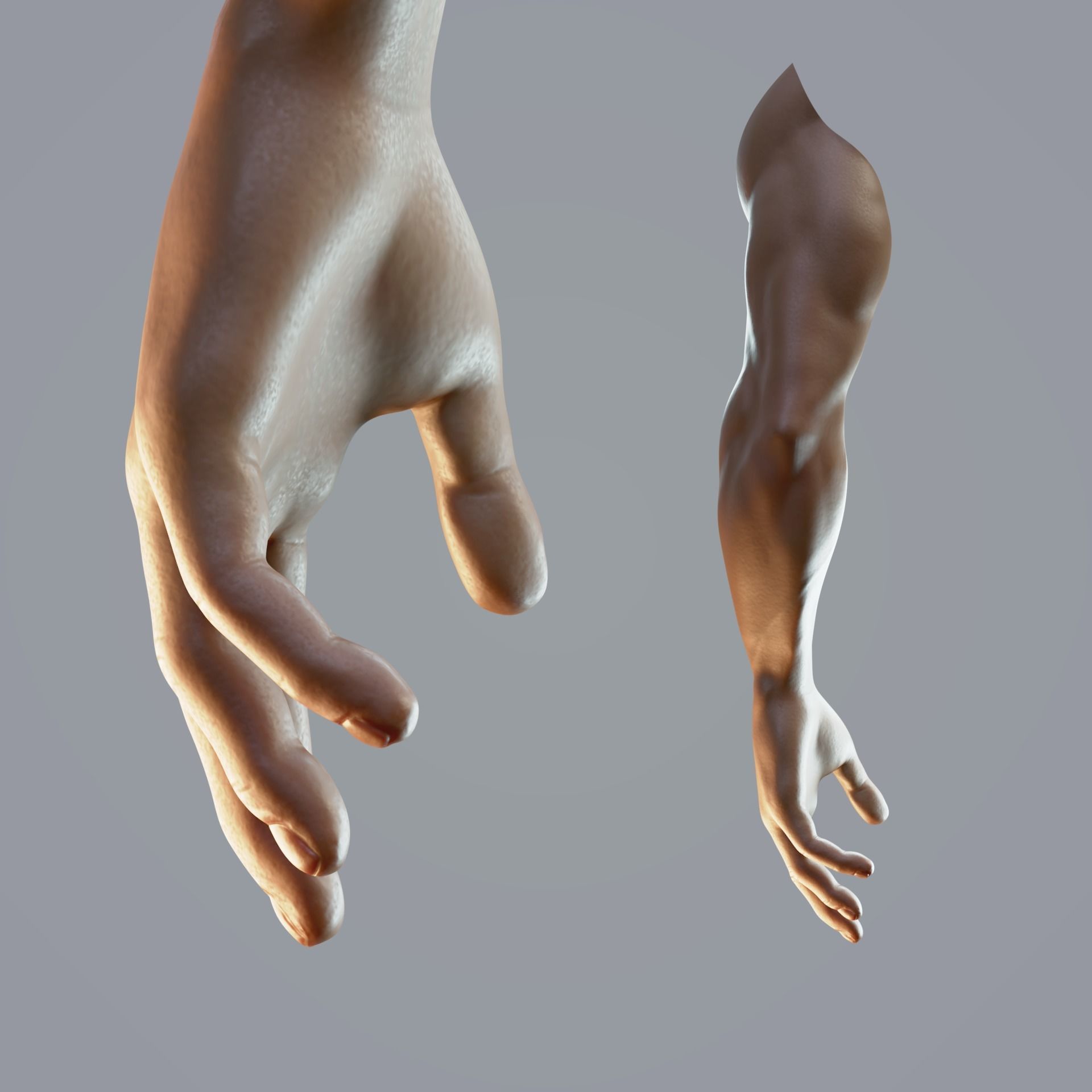 dark skin hand anatomy man 3D model_3