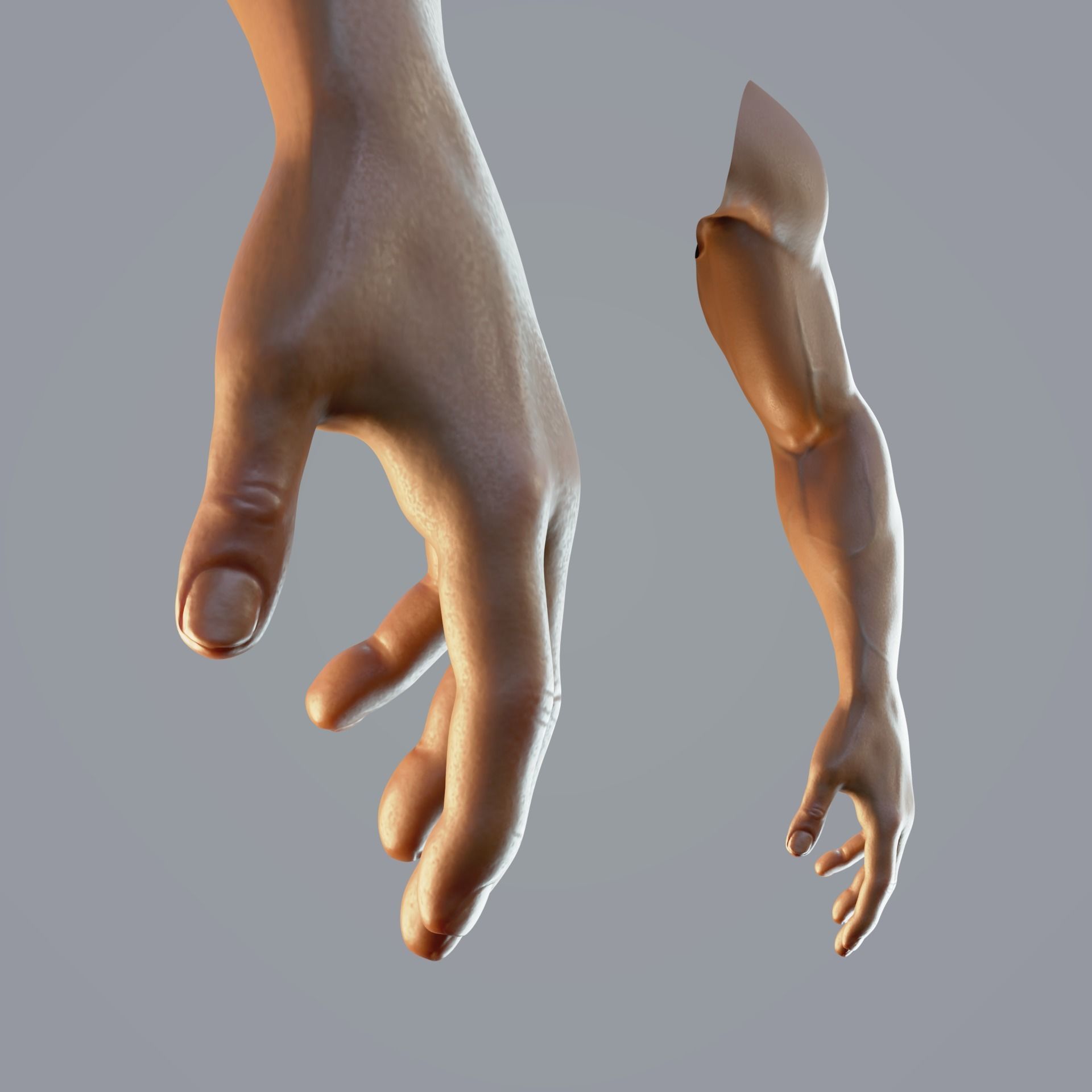 dark skin hand anatomy man 3D model_5