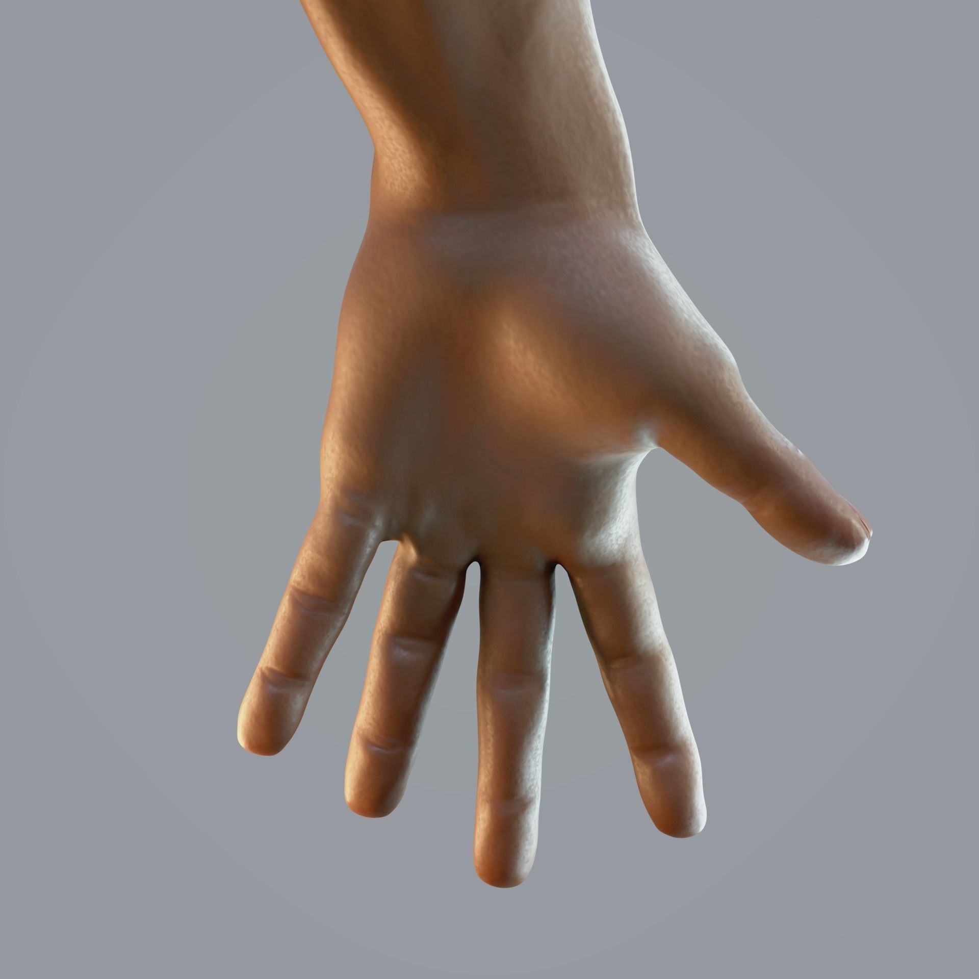dark skin hand anatomy man 3D model_7