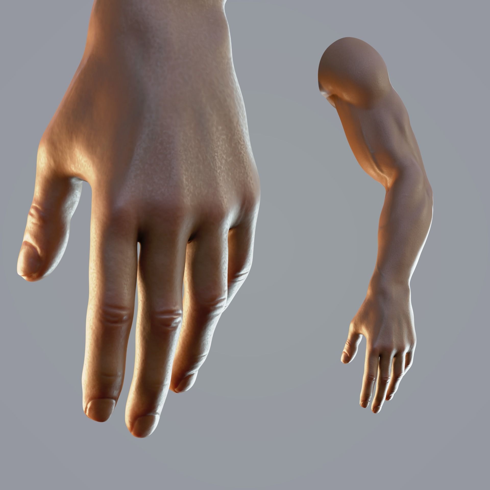 dark skin hand anatomy man 3D model_4