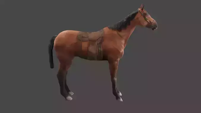 Horse