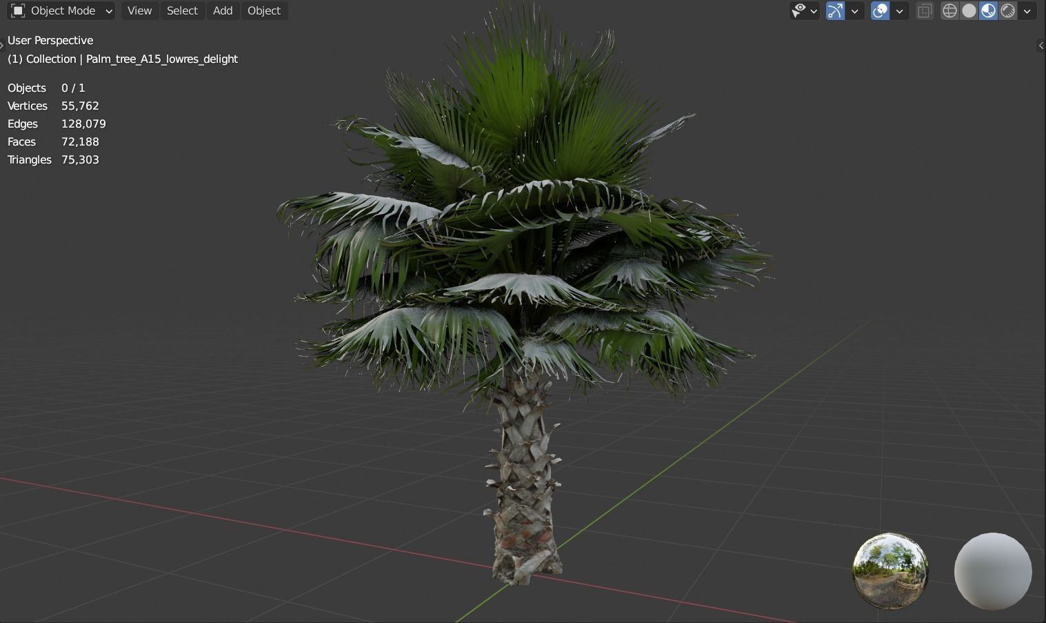 Palm tree  - photoscan 3D model_10