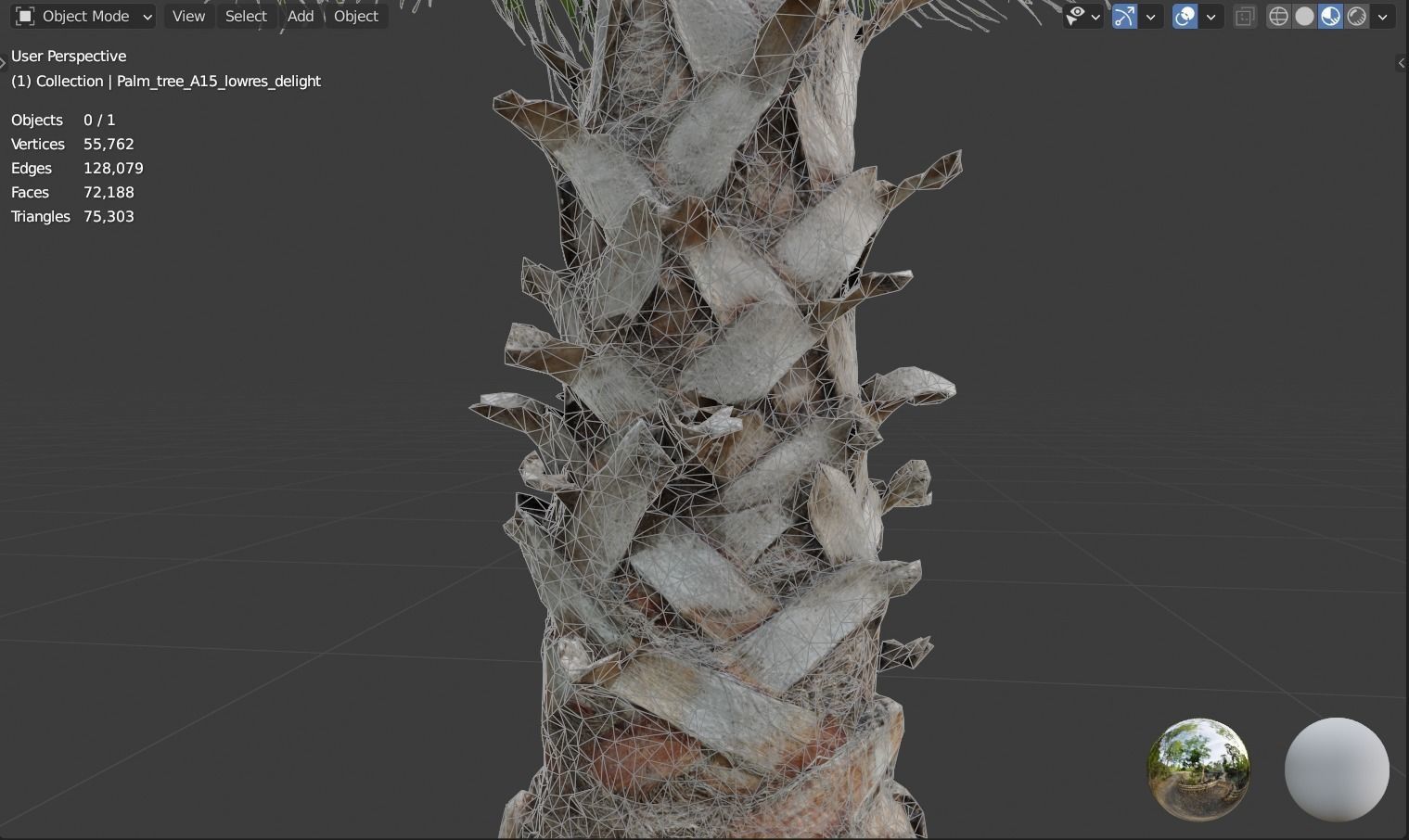 Palm tree  - photoscan 3D model_7