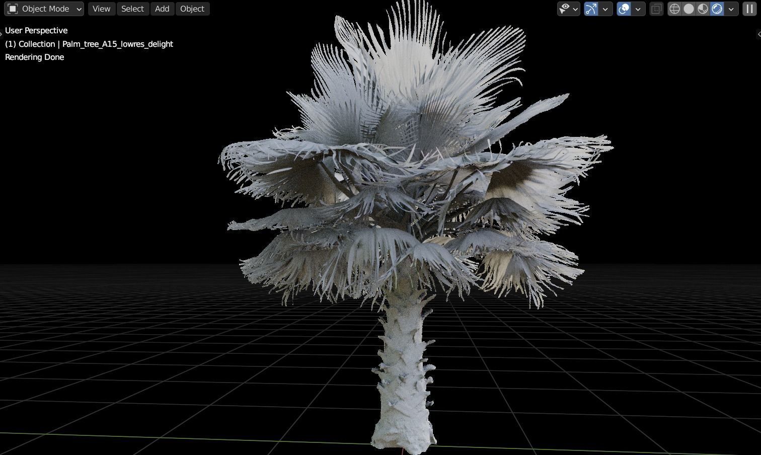 Palm tree  - photoscan 3D model_4