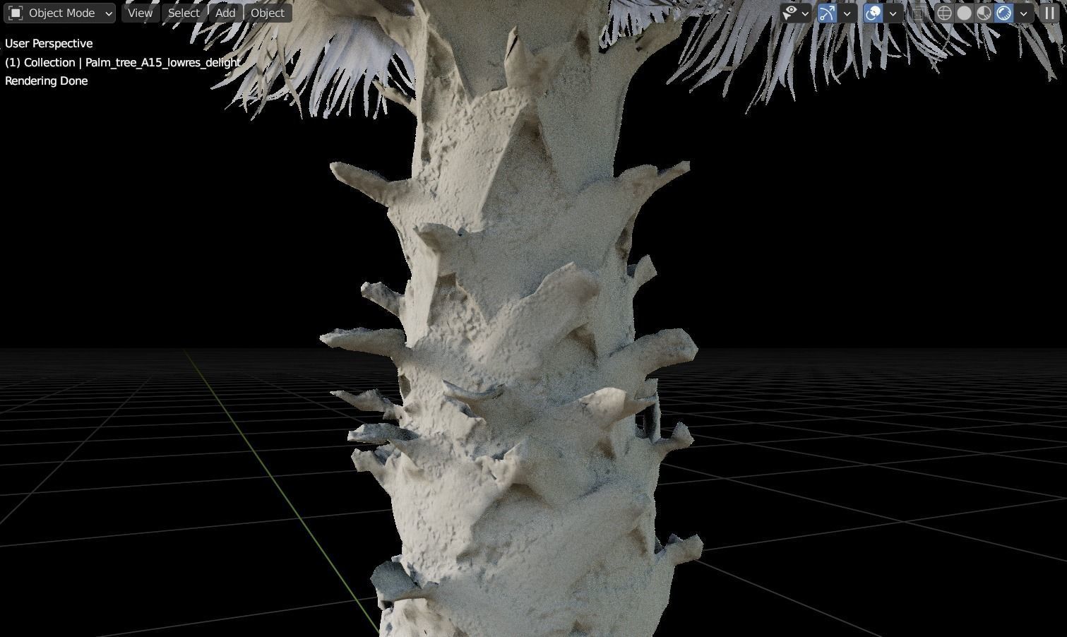 Palm tree  - photoscan 3D model_3