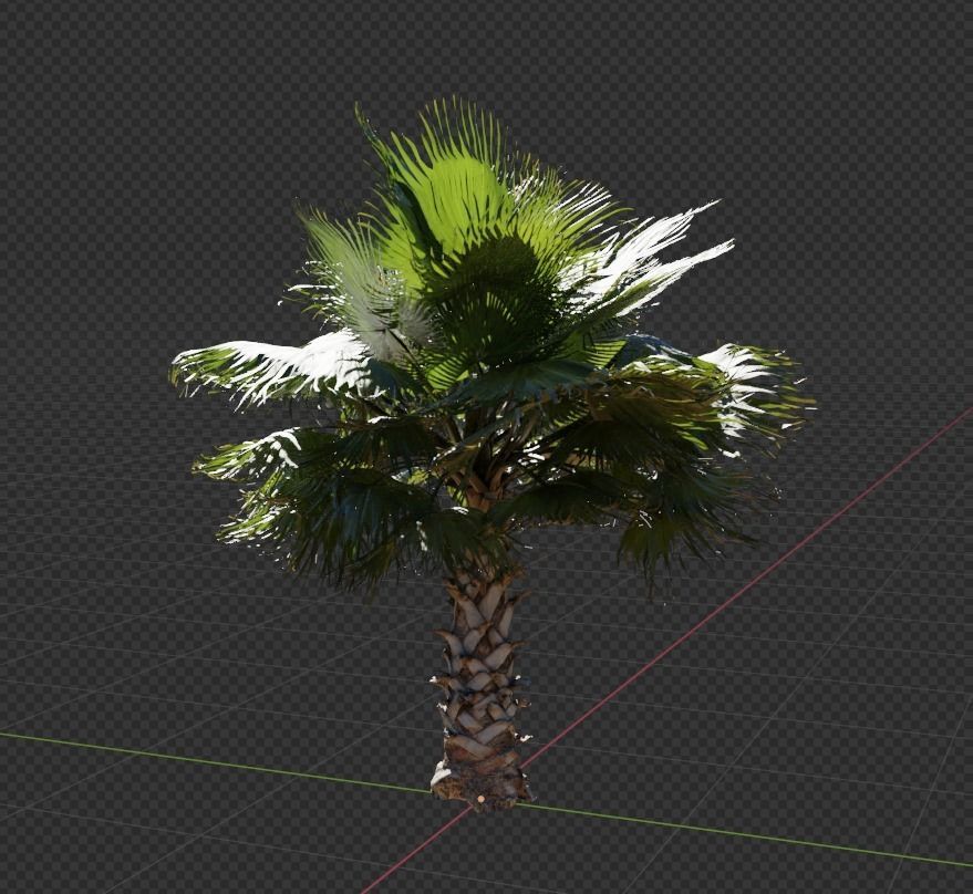 Palm tree  - photoscan 3D model_2