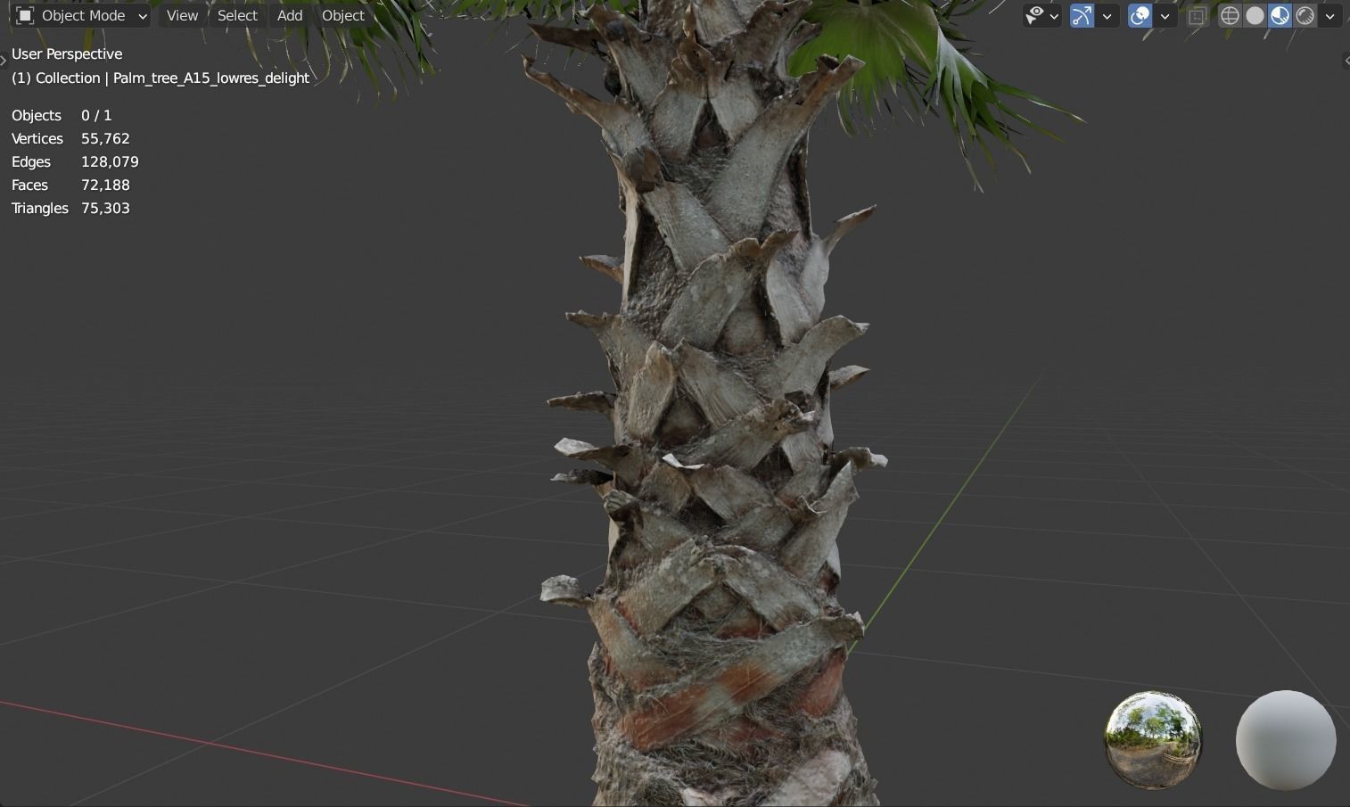 Palm tree  - photoscan 3D model_9