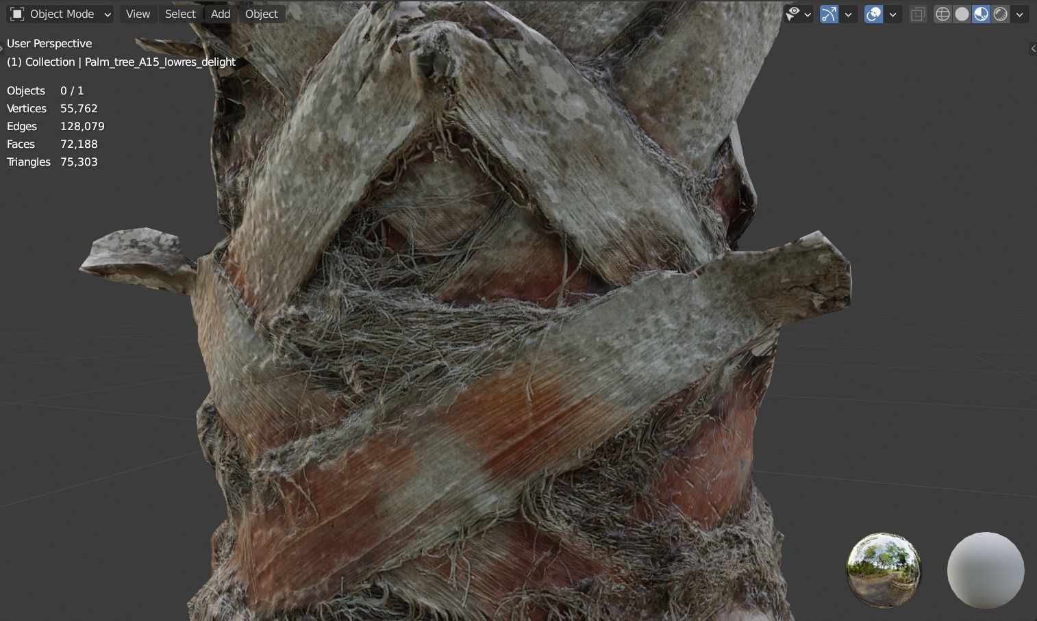 Palm tree  - photoscan 3D model_8