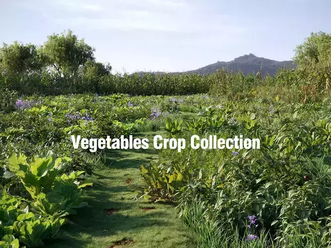 Vegetables Crop Collection - Include GrowFX and Mesh file 