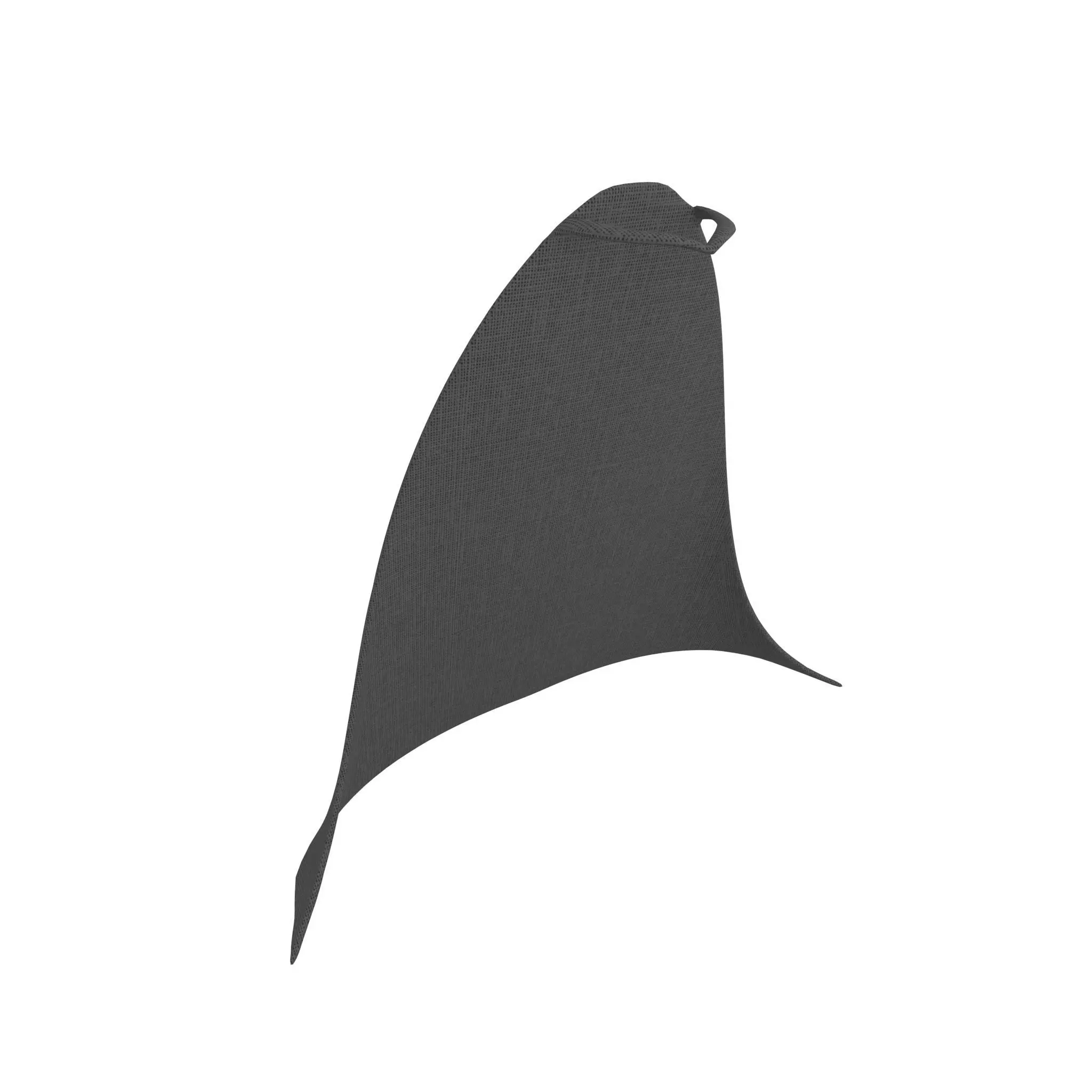 Cloak v1 002 Low-poly 3D model_0