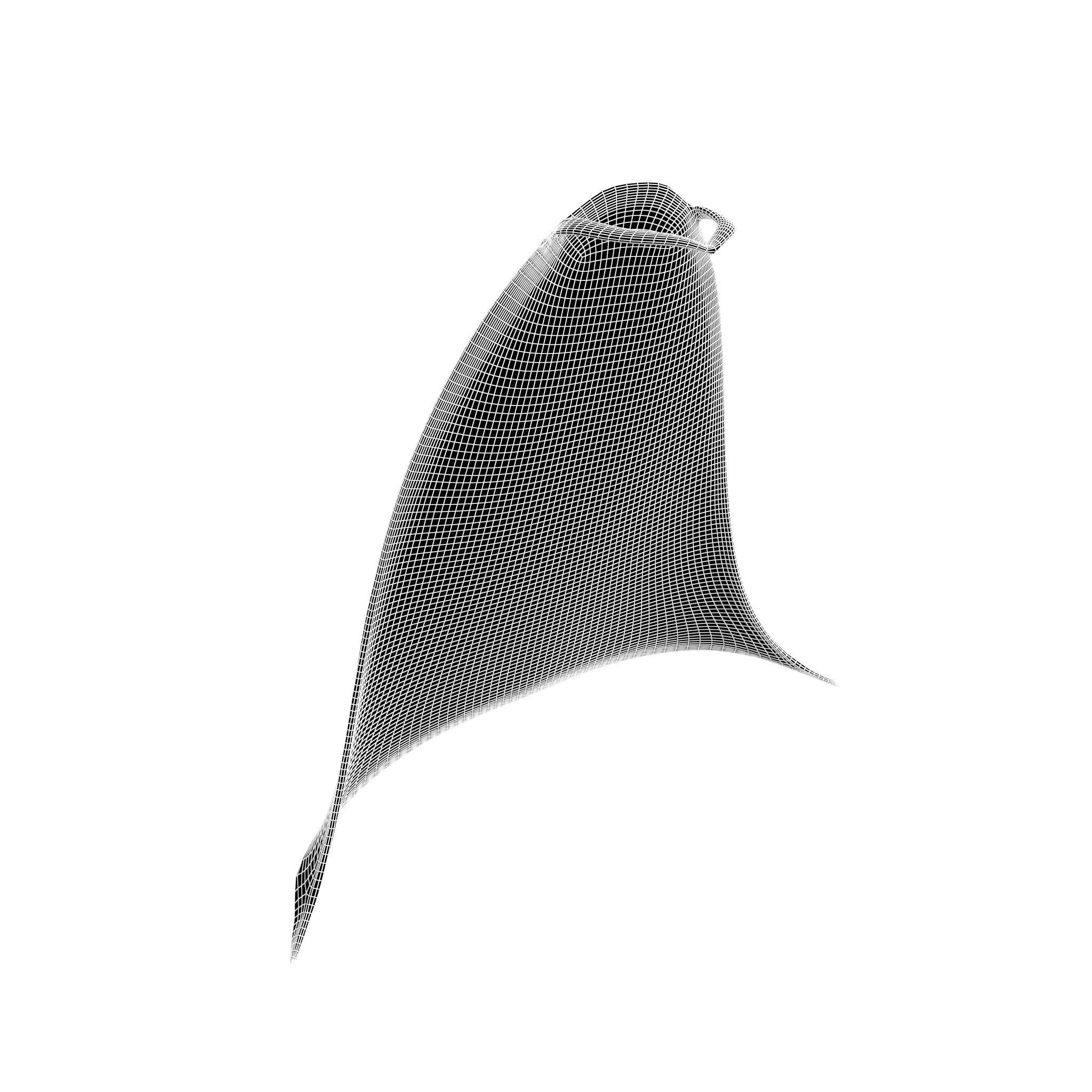 Cloak v1 002 Low-poly 3D model_4