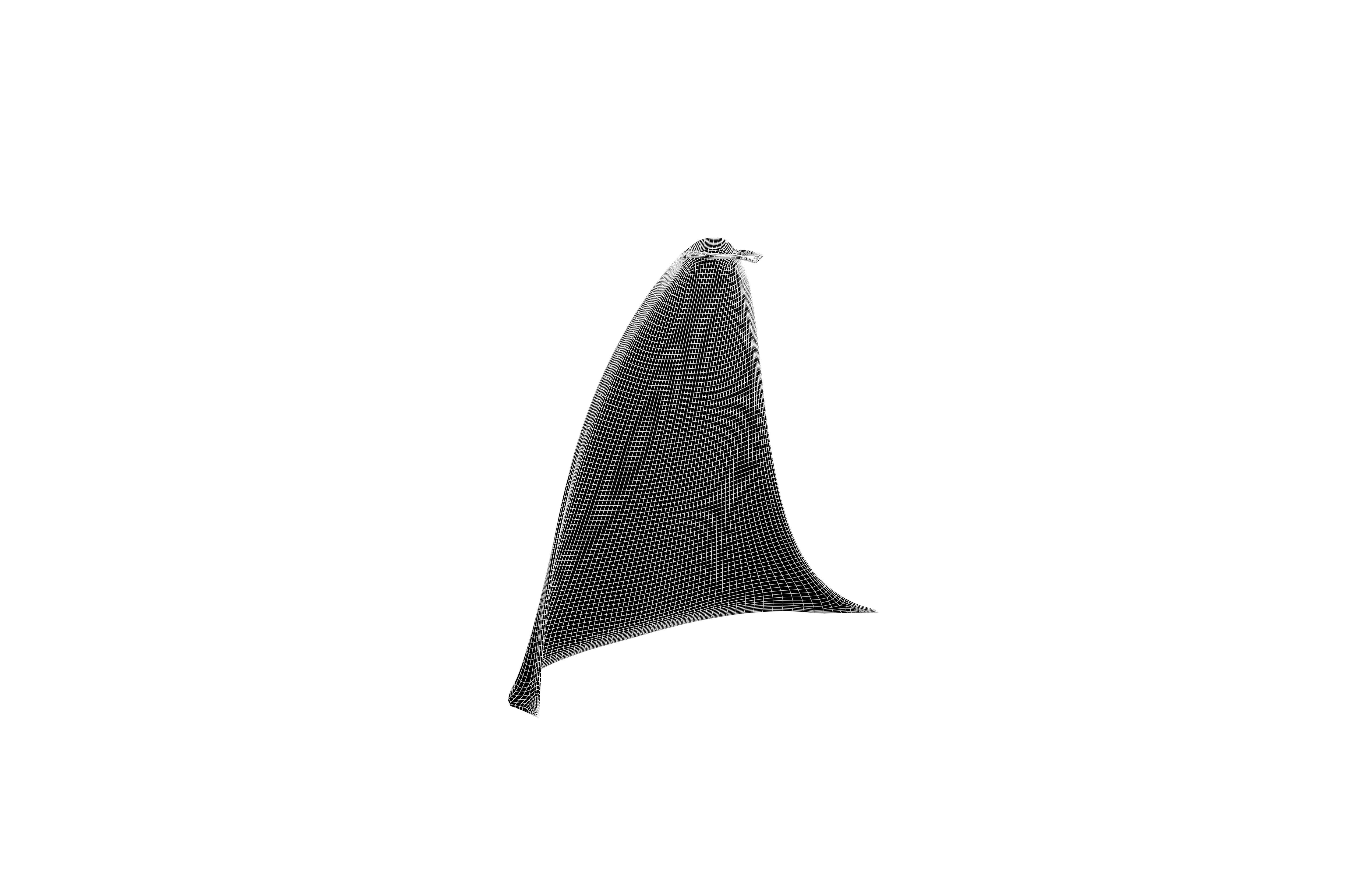 Cloak v1 002 Low-poly 3D model_7