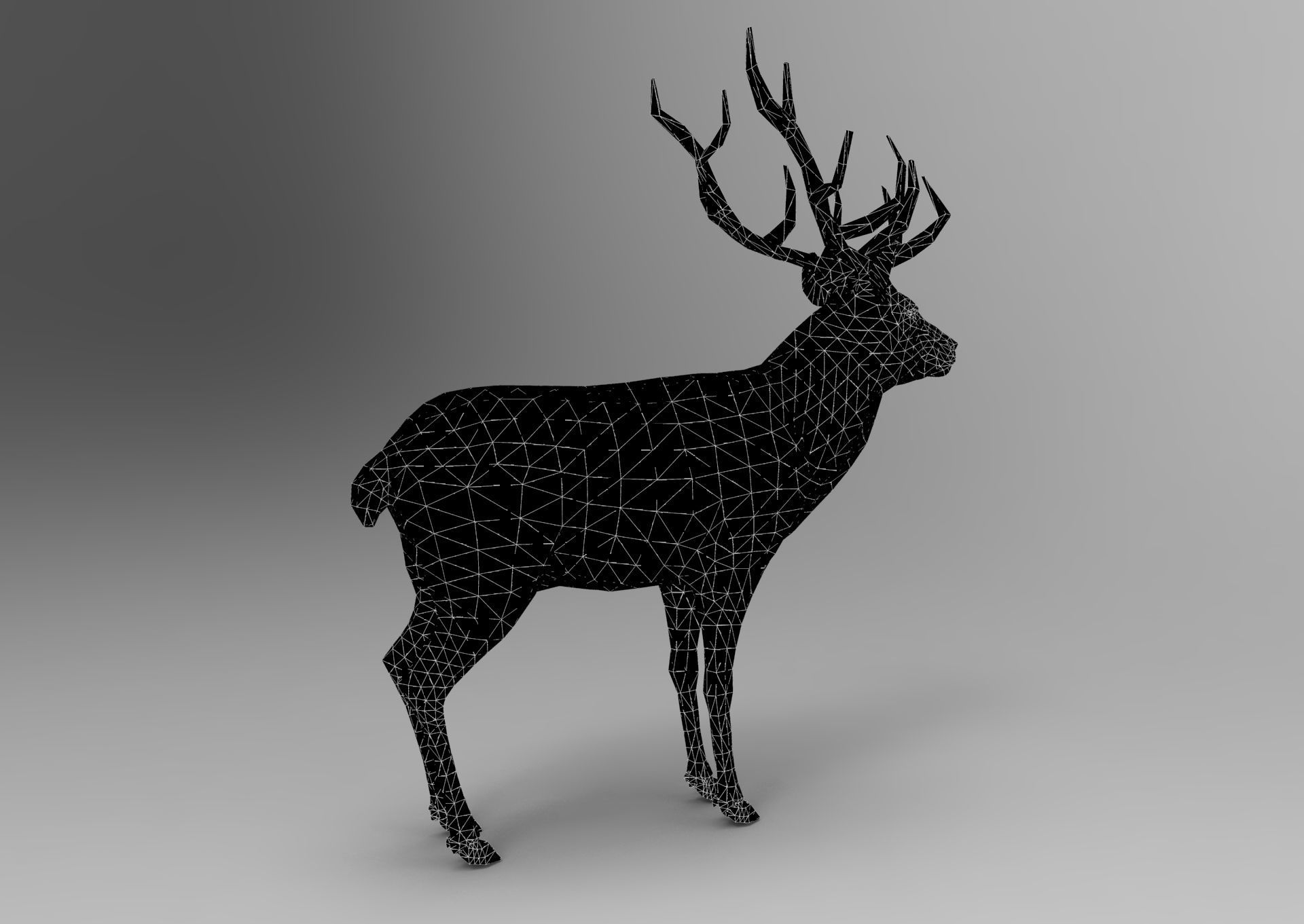Cartoon Deer  Low-poly 3D model_37