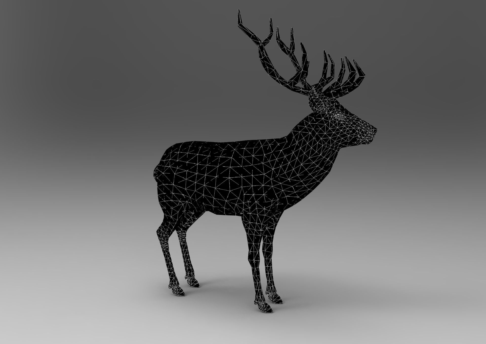 Cartoon Deer  Low-poly 3D model_38