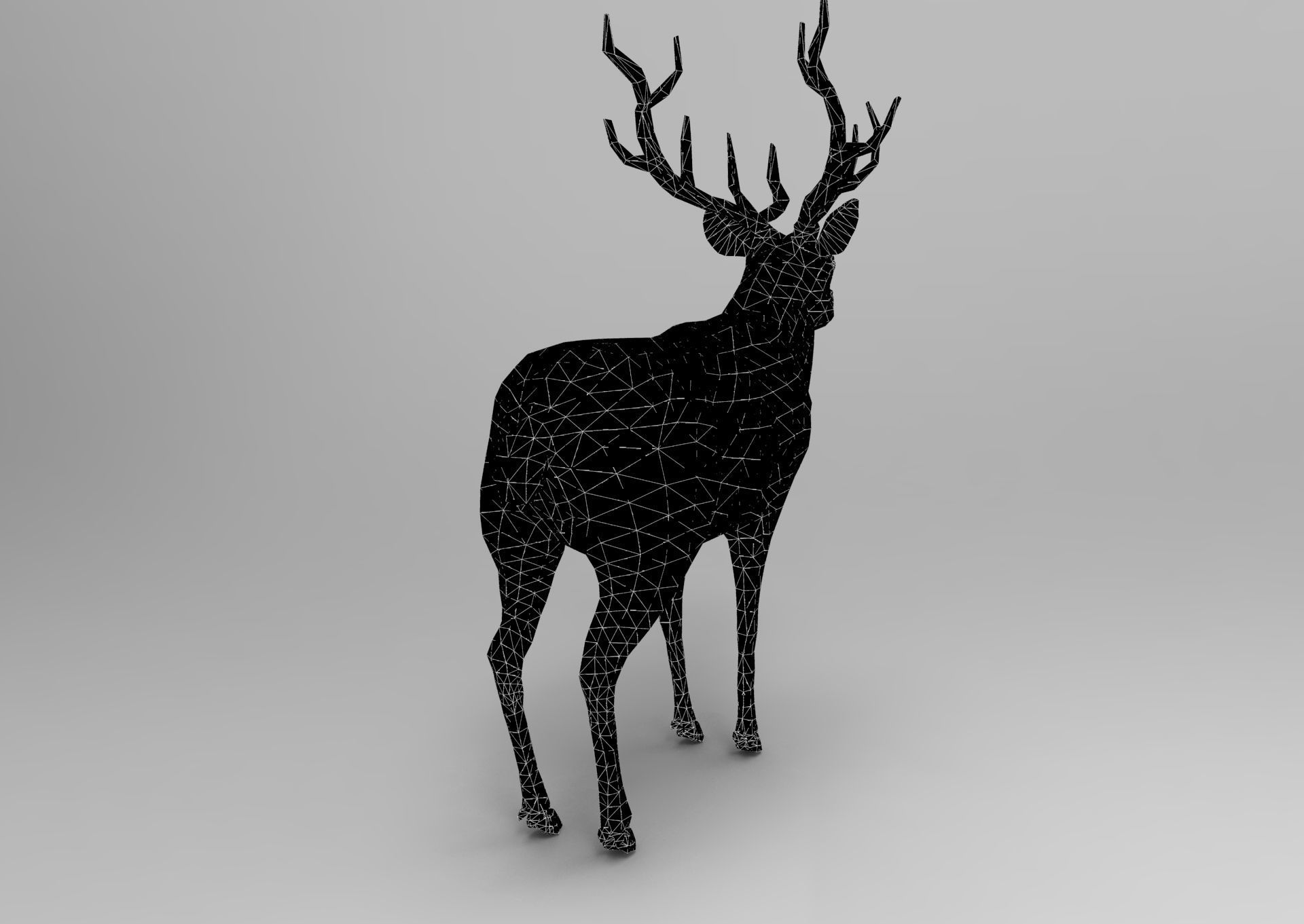 Cartoon Deer  Low-poly 3D model_35