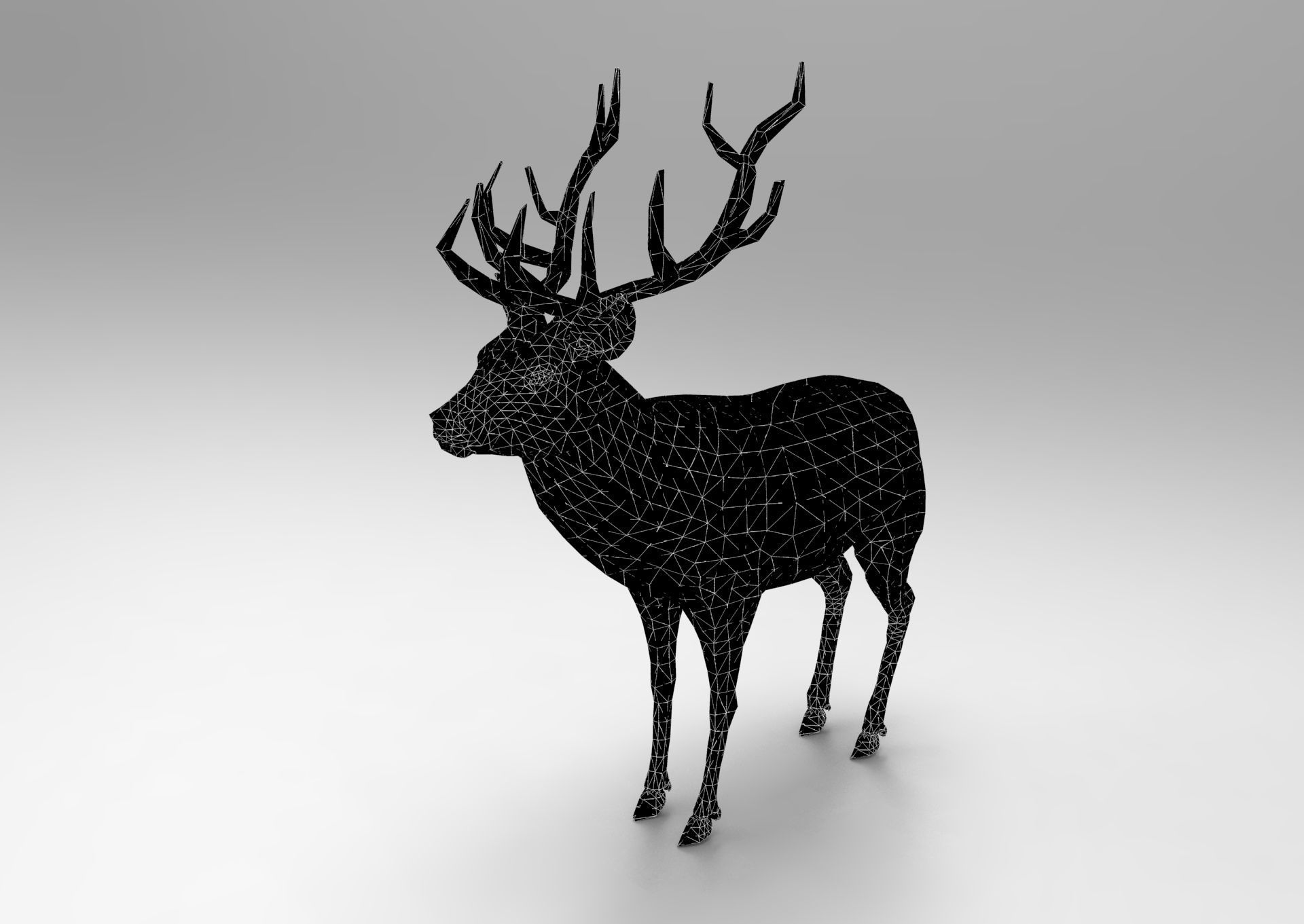 Cartoon Deer  Low-poly 3D model_34