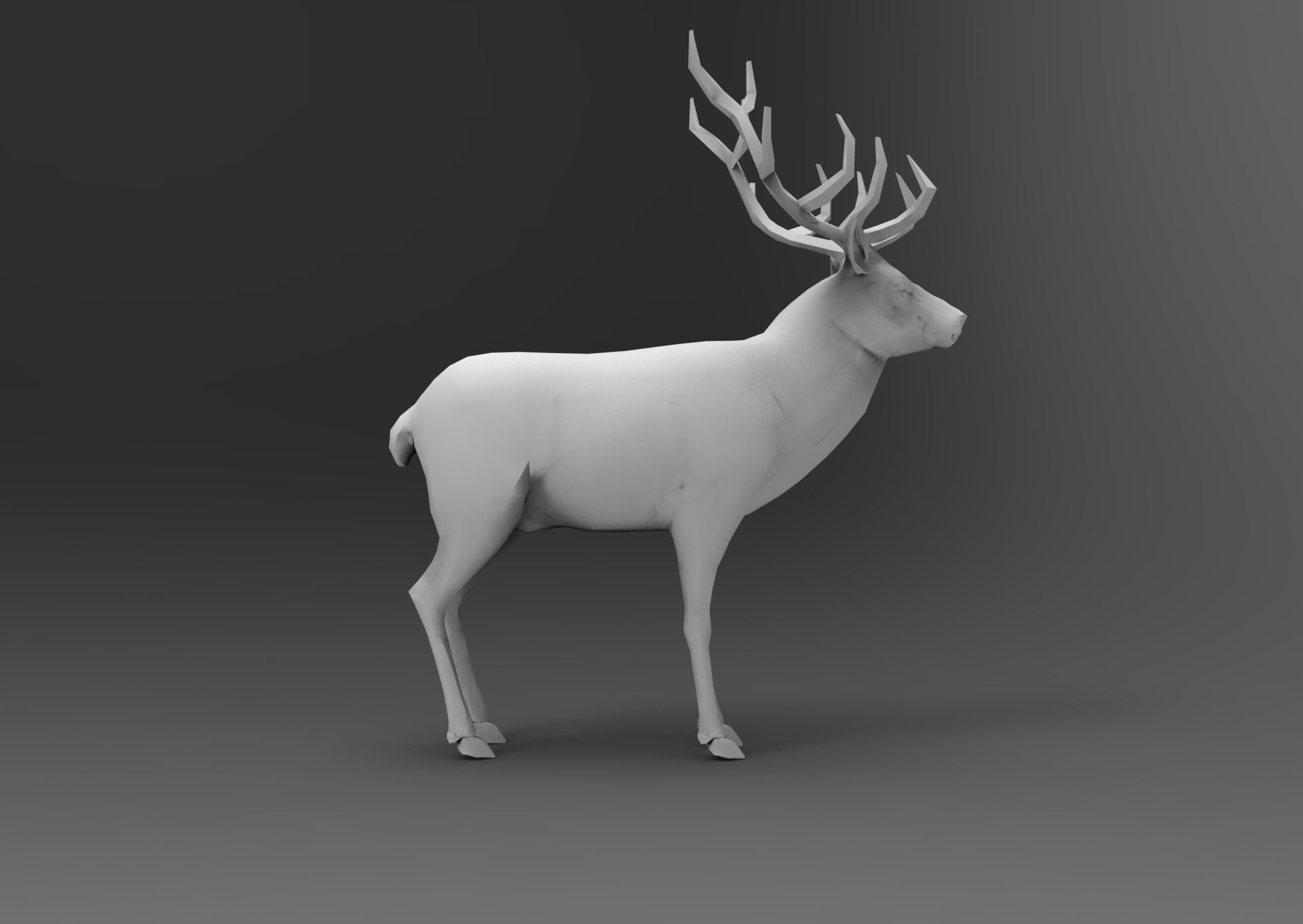 Cartoon Deer  Low-poly 3D model_30