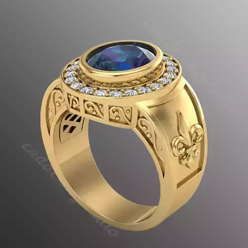 Ring bi 62 3D print model