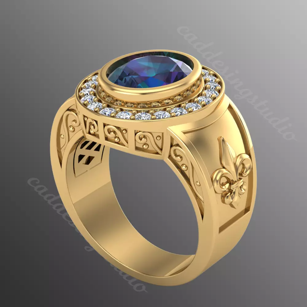 Ring bi 62 3D print model_0