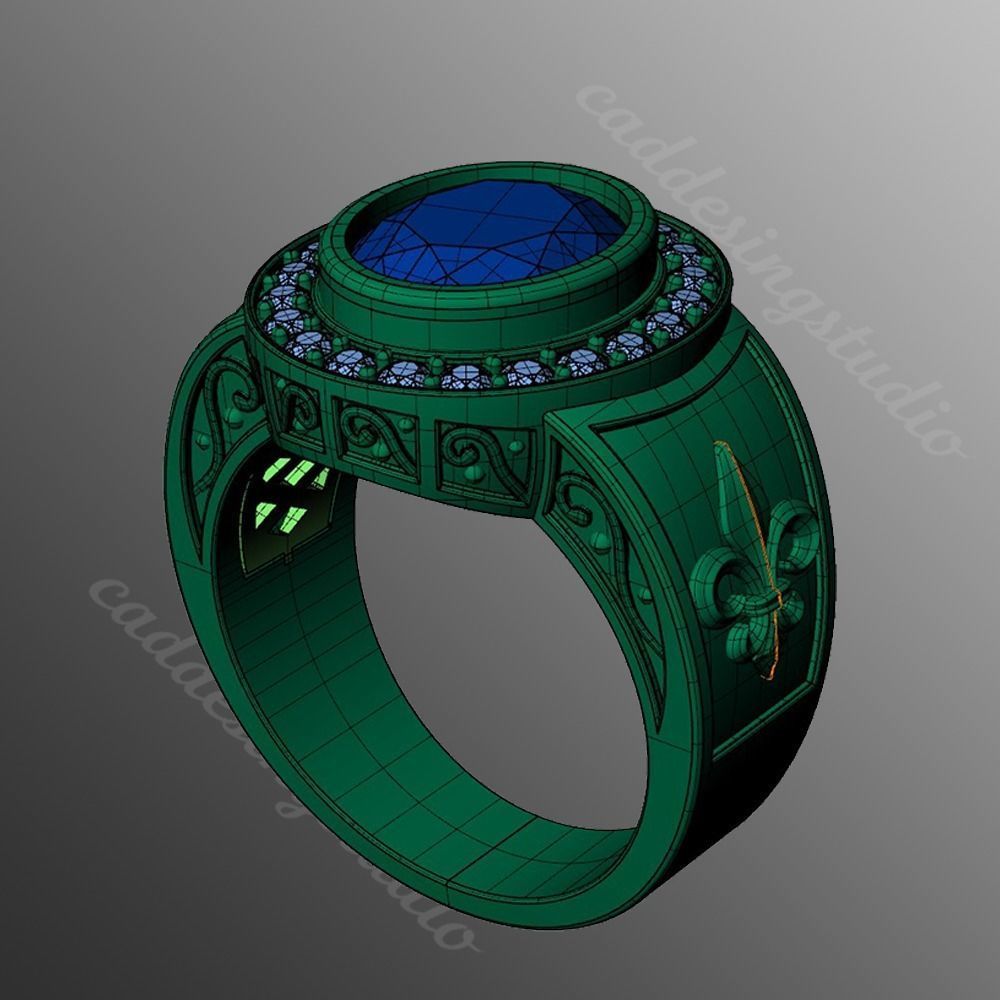 Ring bi 62 3D print model_2