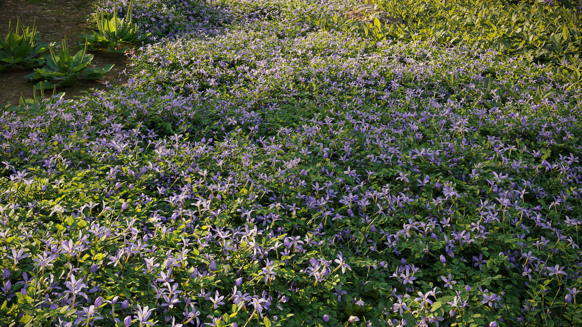 Ground cover plants Collection - Include GrowFX and Mesh file  3D model_6