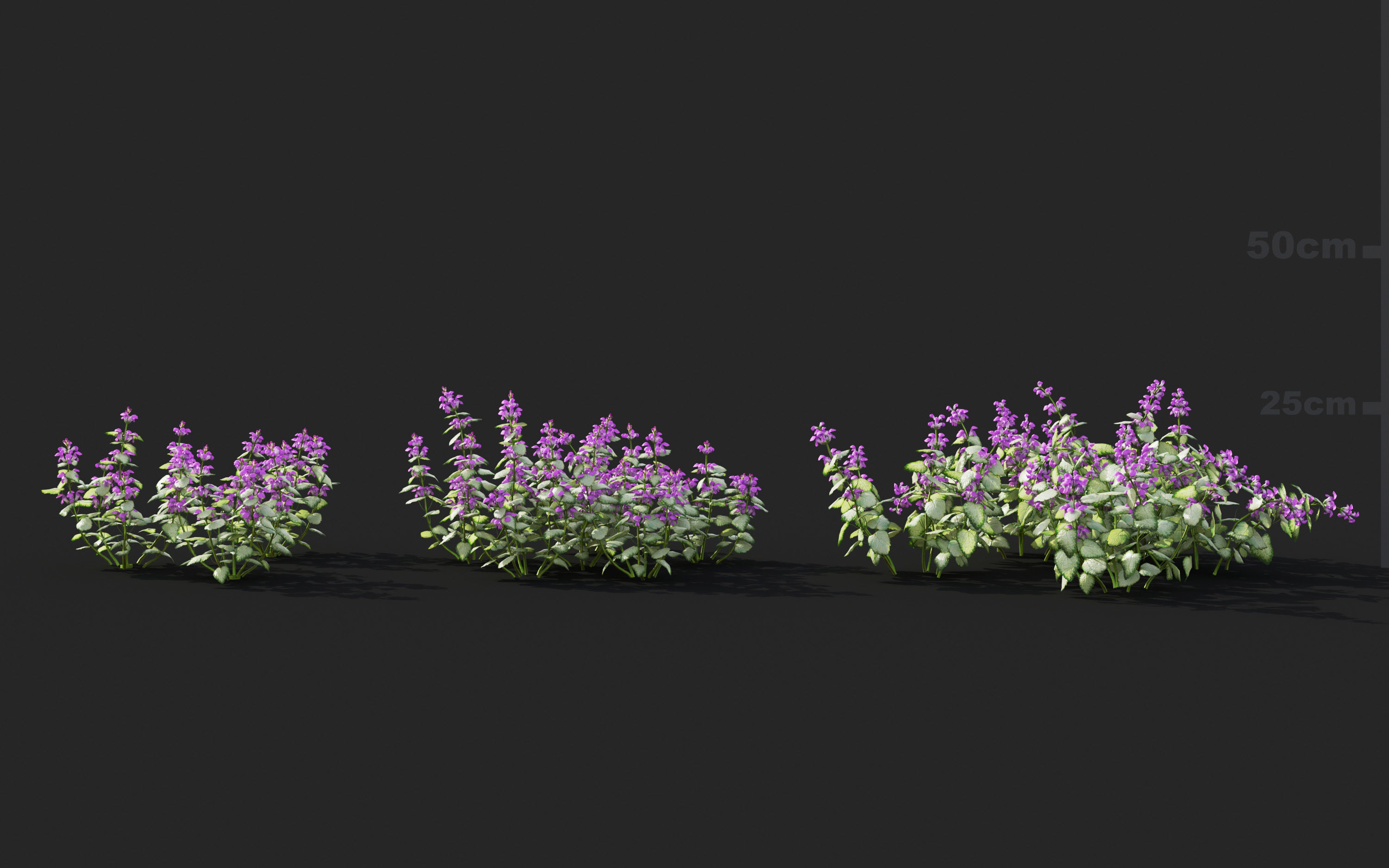 Ground cover plants Collection - Include GrowFX and Mesh file  3D model_53