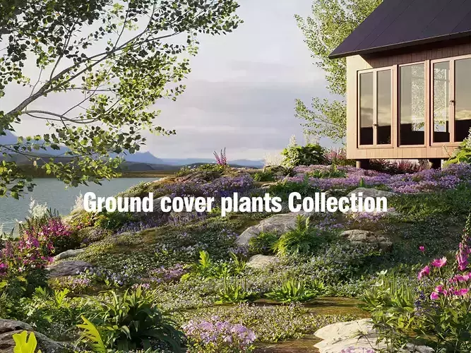 Ground cover plants Collection - Include GrowFX and Mesh file  3D model Ground cover plants Collection - Include GrowFX and Mesh file  3D model