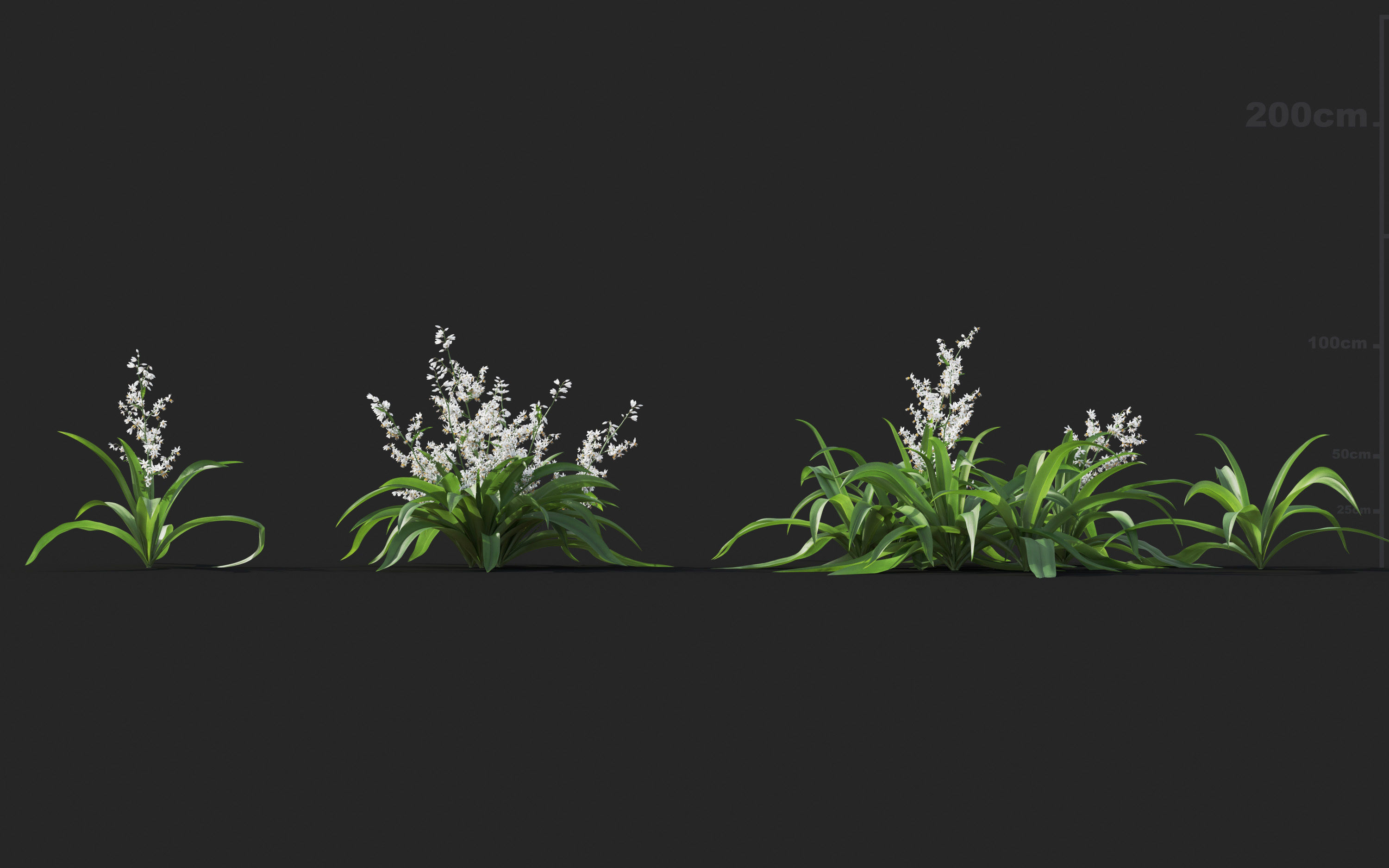 Ground cover plants Collection - Include GrowFX and Mesh file  3D model_16