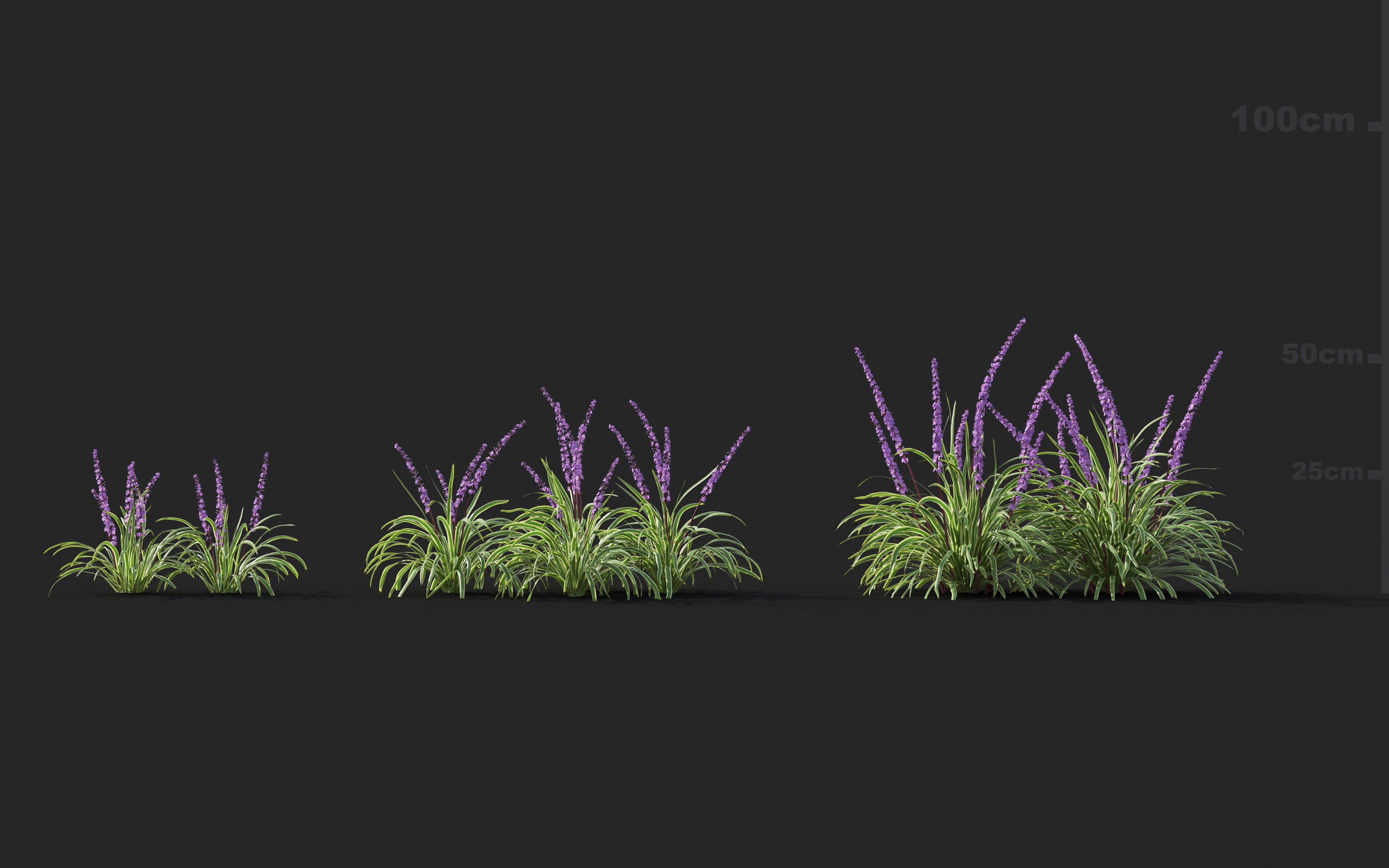 Ground cover plants Collection - Include GrowFX and Mesh file  3D model_56