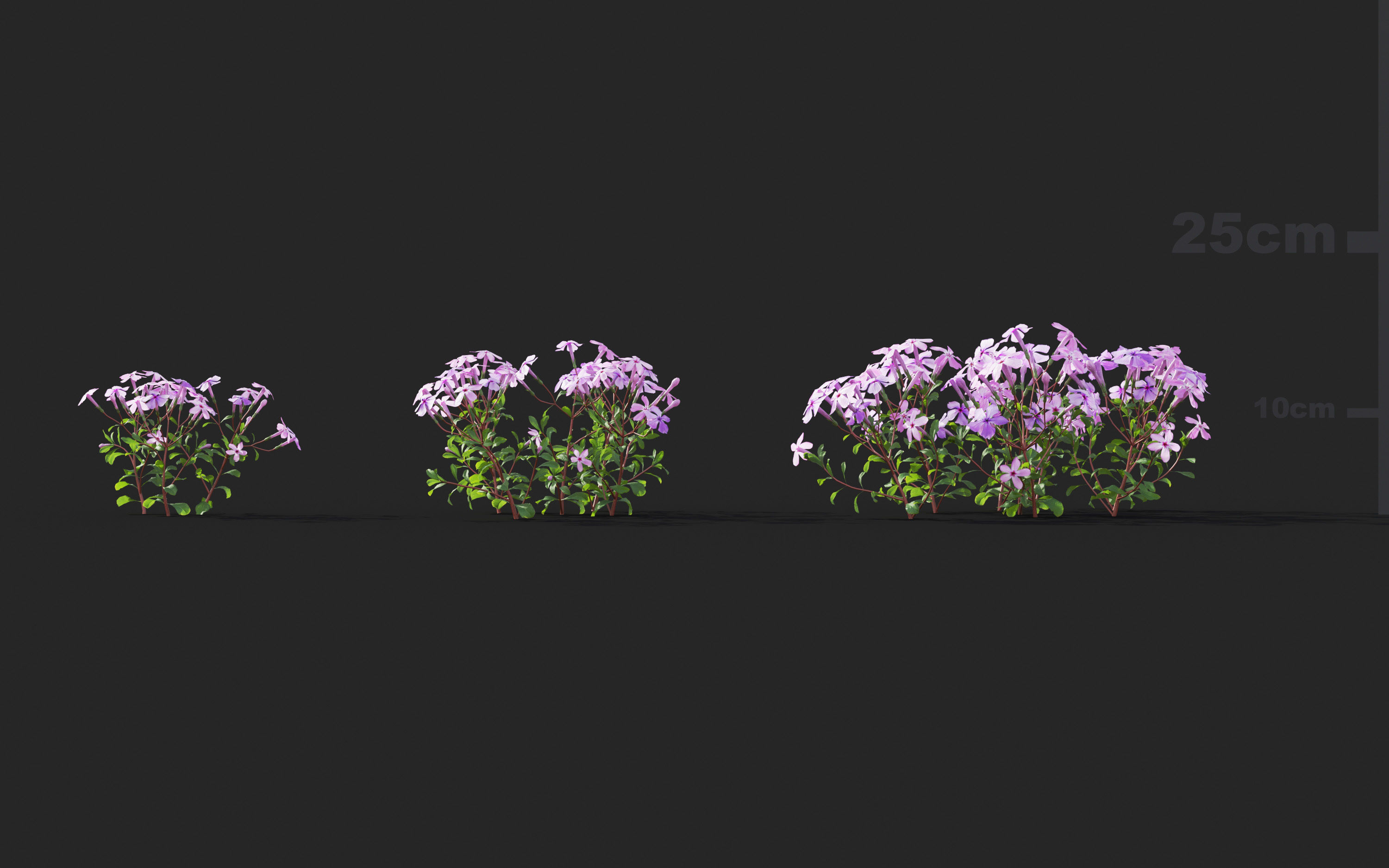 Ground cover plants Collection - Include GrowFX and Mesh file  3D model_71