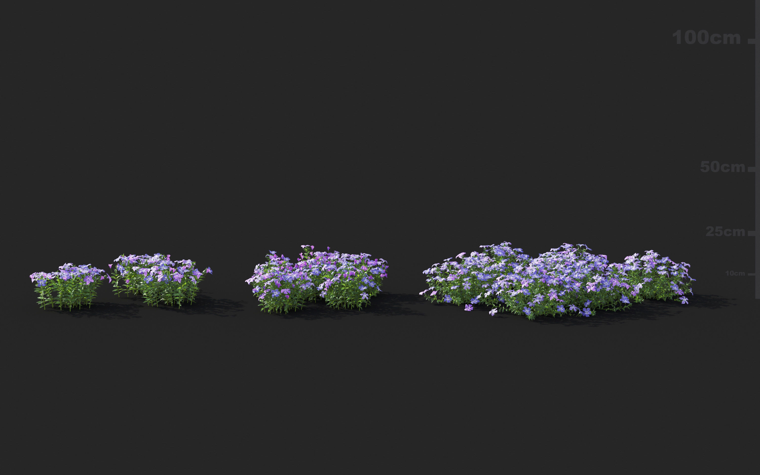 Ground cover plants Collection - Include GrowFX and Mesh file  3D model_81