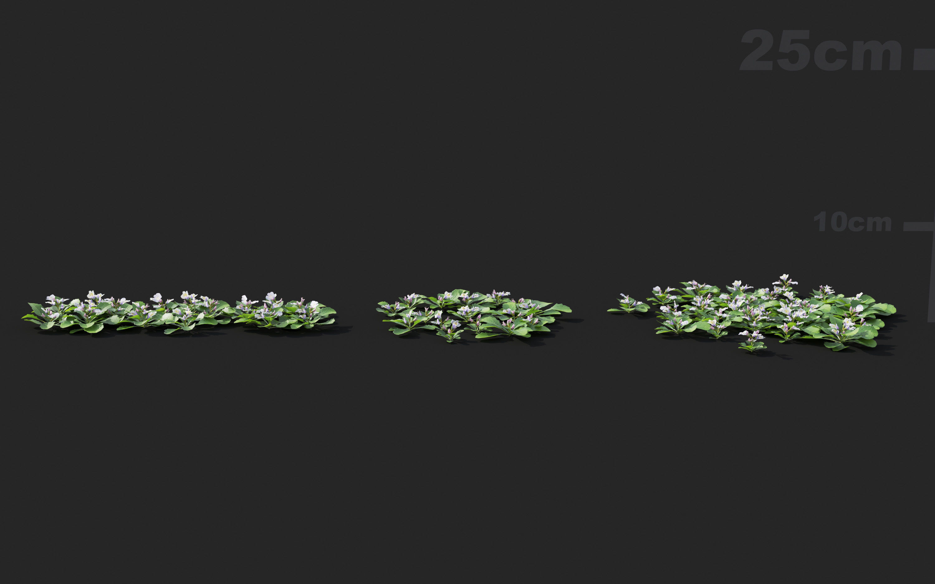 Ground cover plants Collection - Include GrowFX and Mesh file  3D model_60