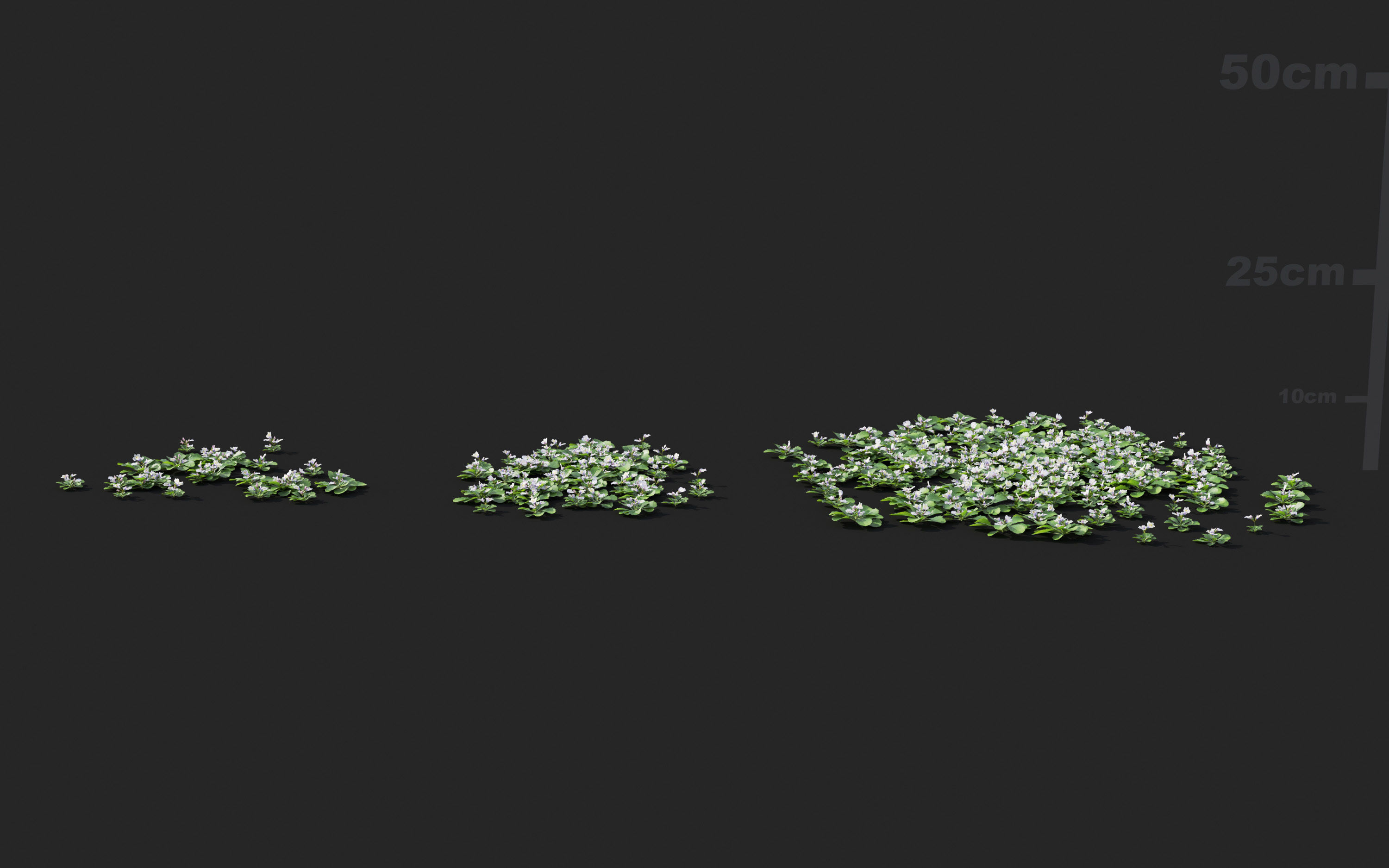 Ground cover plants Collection - Include GrowFX and Mesh file  3D model_61
