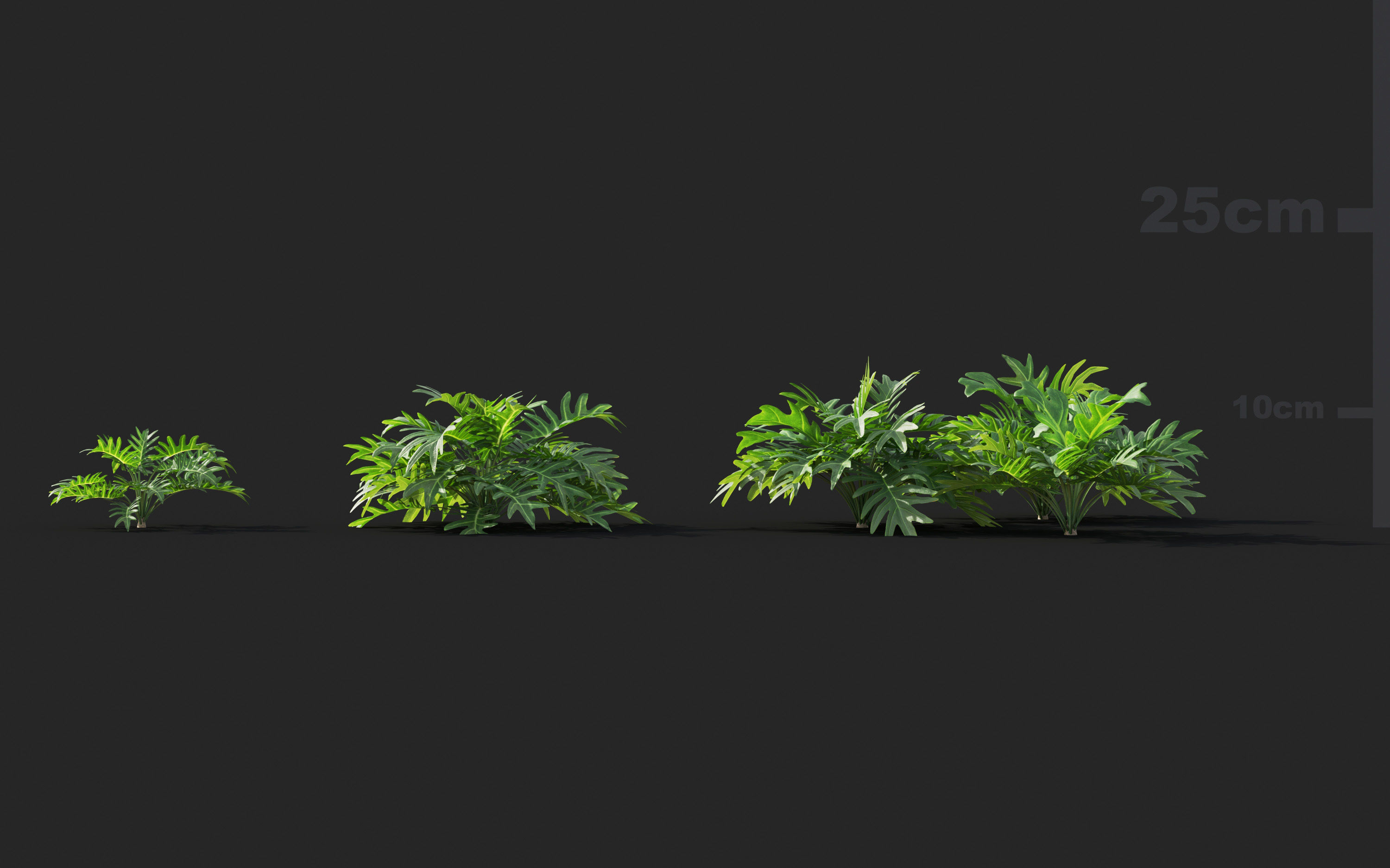 Ground cover plants Collection - Include GrowFX and Mesh file  3D model_67