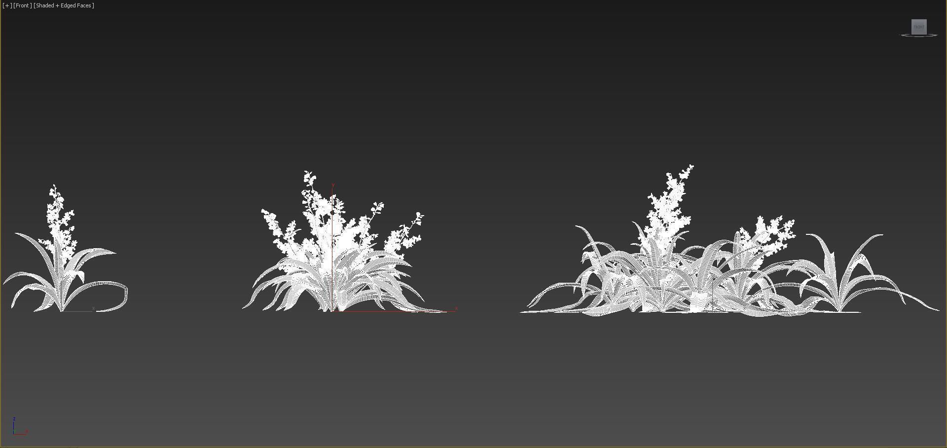 Ground cover plants Collection - Include GrowFX and Mesh file  3D model_94