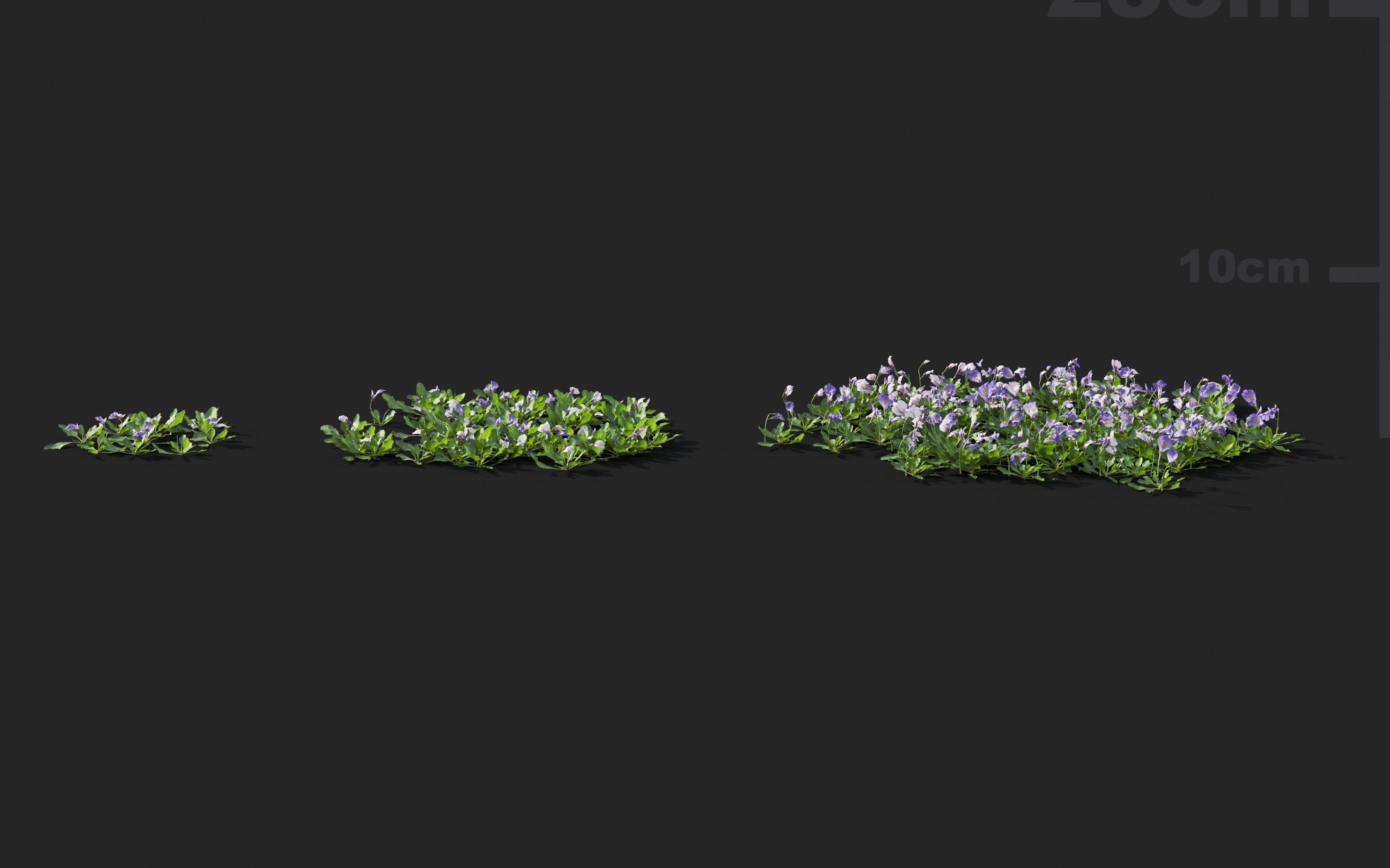 Ground cover plants Collection - Include GrowFX and Mesh file  3D model_64
