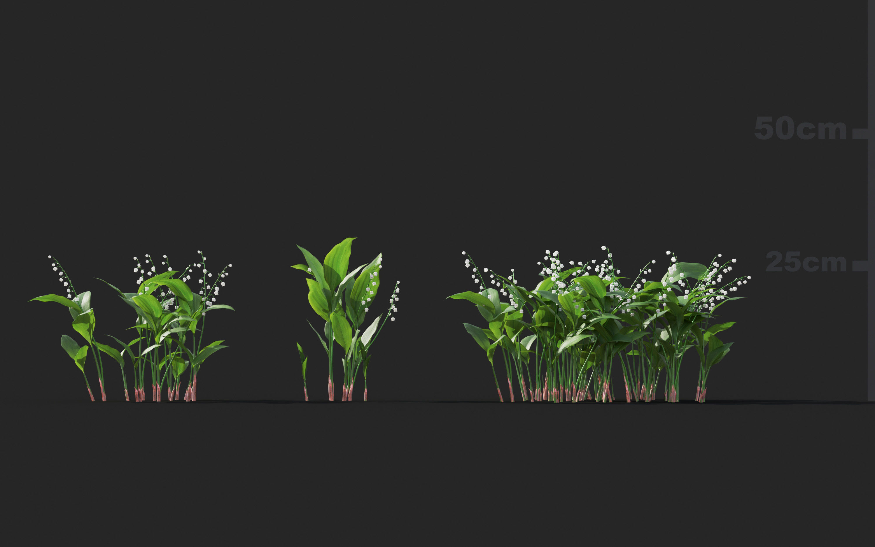 Ground cover plants Collection - Include GrowFX and Mesh file  3D model_21