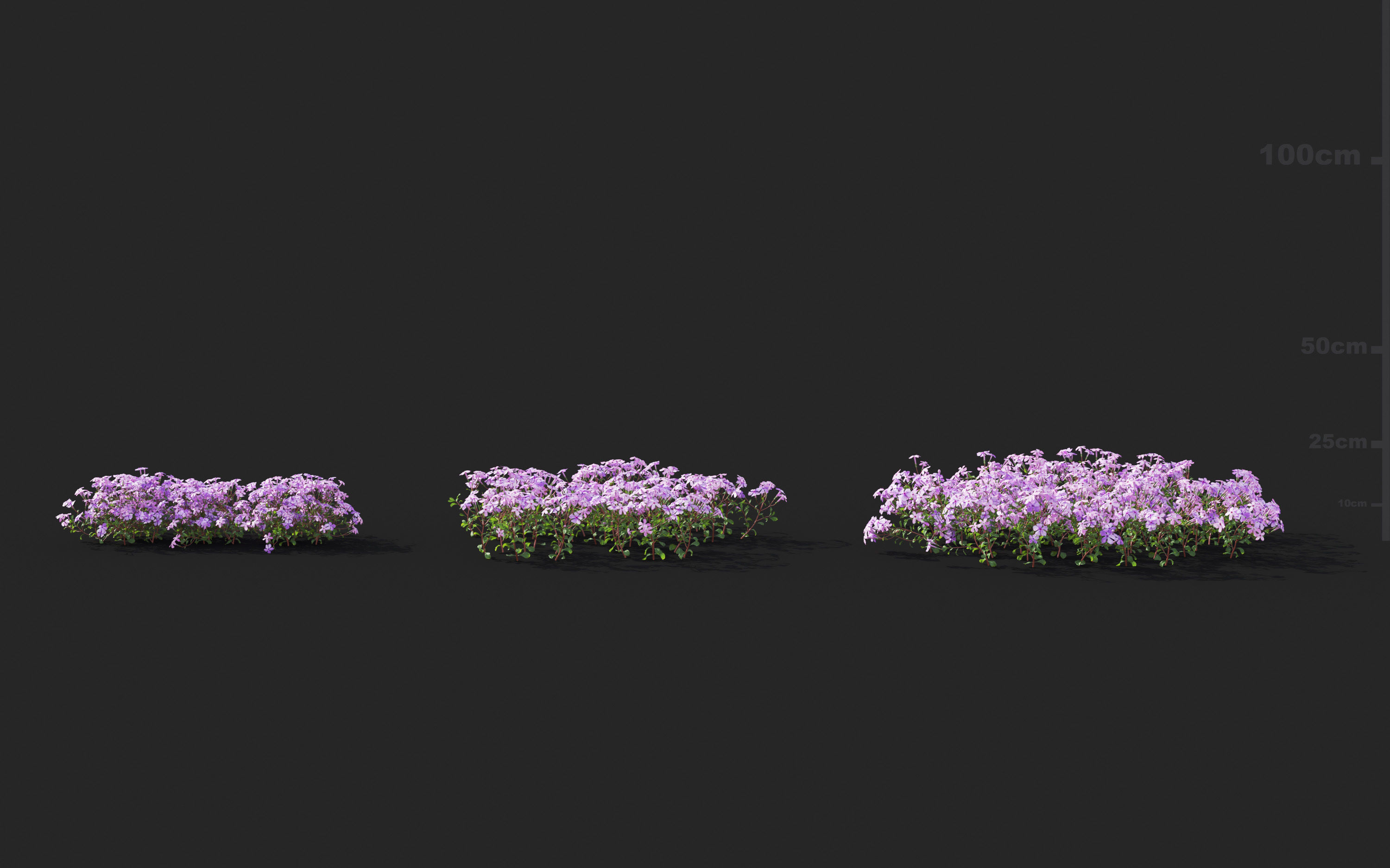 Ground cover plants Collection - Include GrowFX and Mesh file  3D model_72