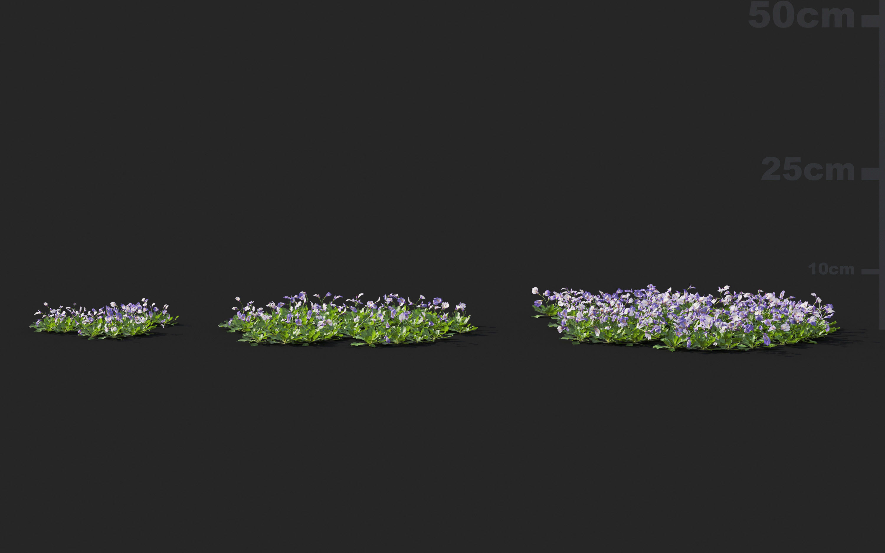 Ground cover plants Collection - Include GrowFX and Mesh file  3D model_65