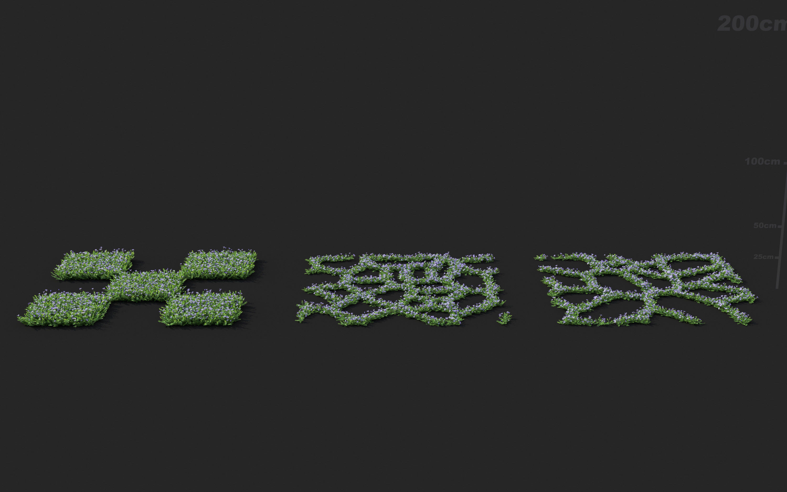 Ground cover plants Collection - Include GrowFX and Mesh file  3D model_49