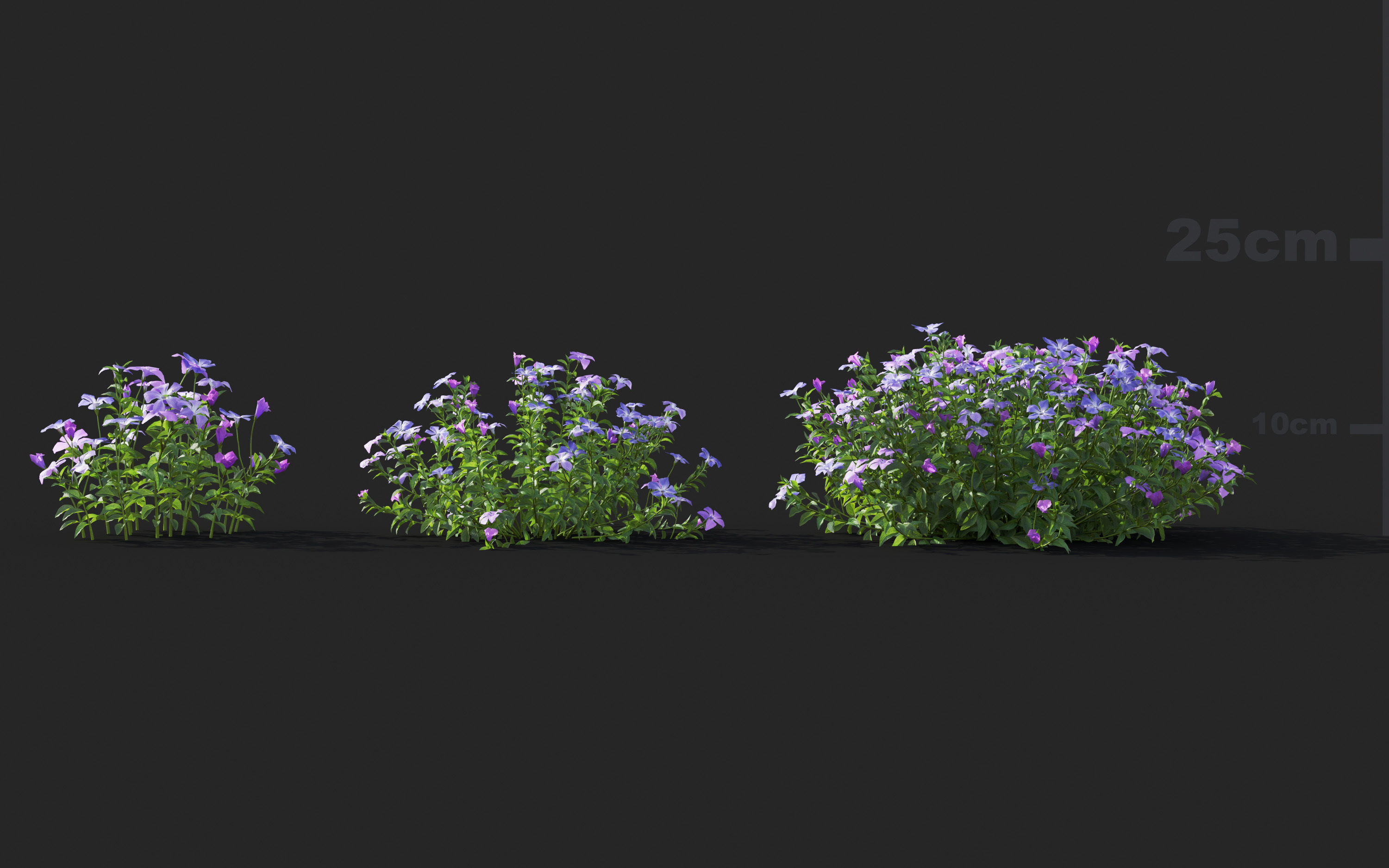 Ground cover plants Collection - Include GrowFX and Mesh file  3D model_80